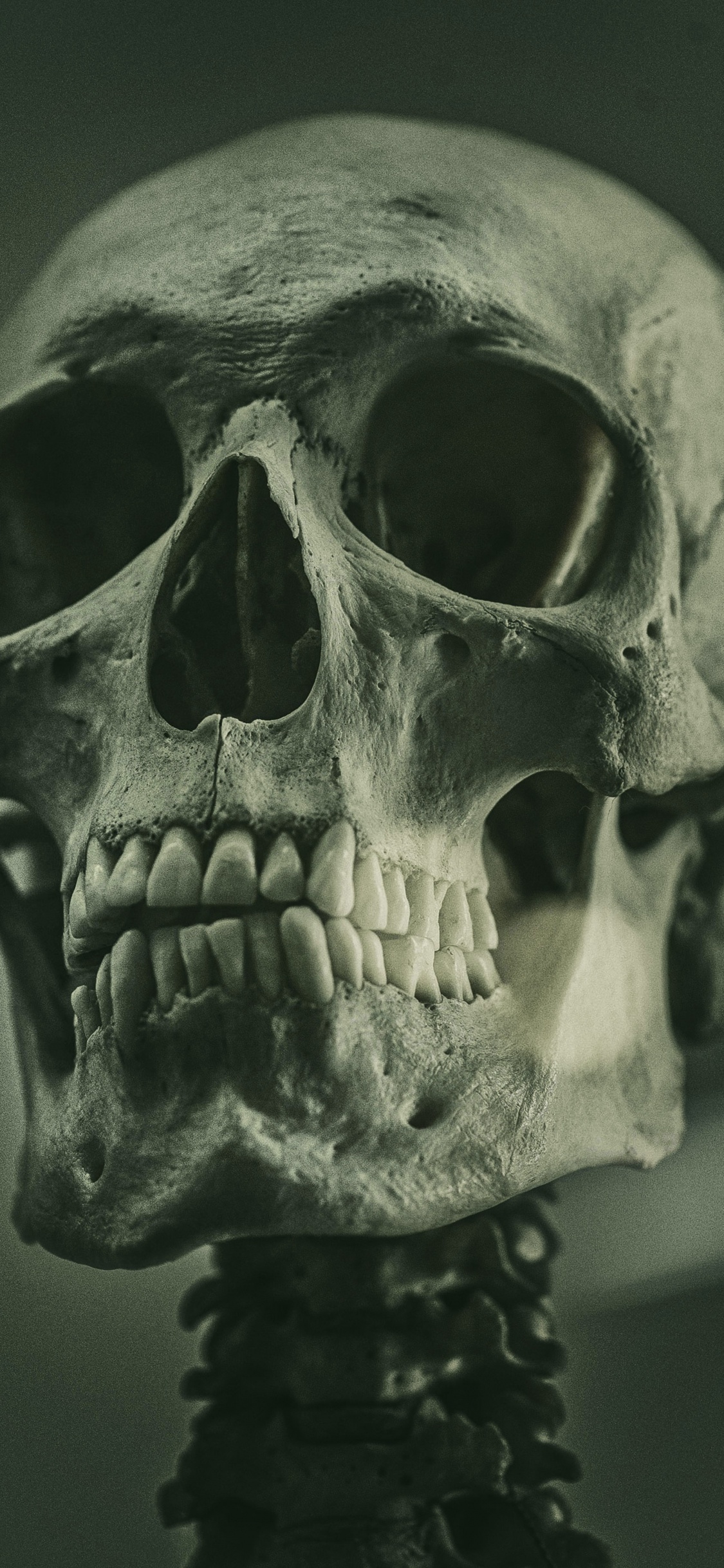 Обои скелет, референсная живопись скелета, soundcloud, живопись, арт в разрешении 1125x2436