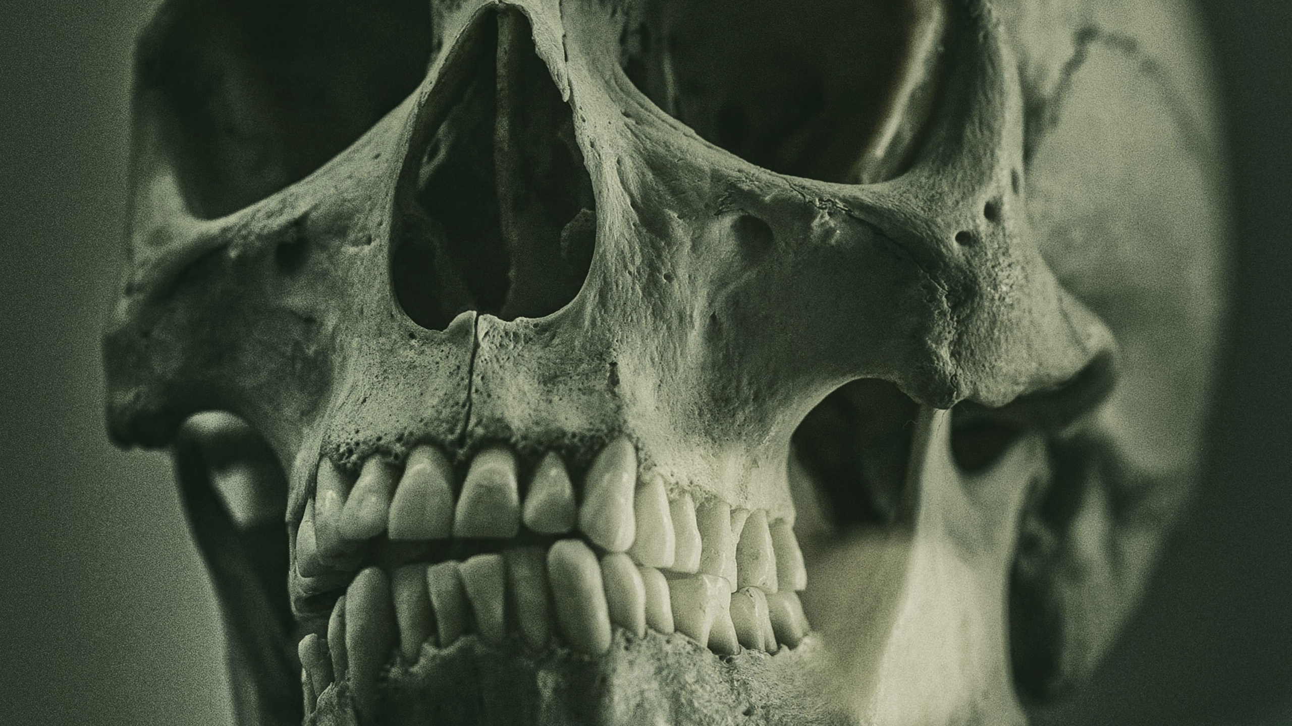 Обои скелет, референсная живопись скелета, soundcloud, живопись, арт в разрешении 2560x1440