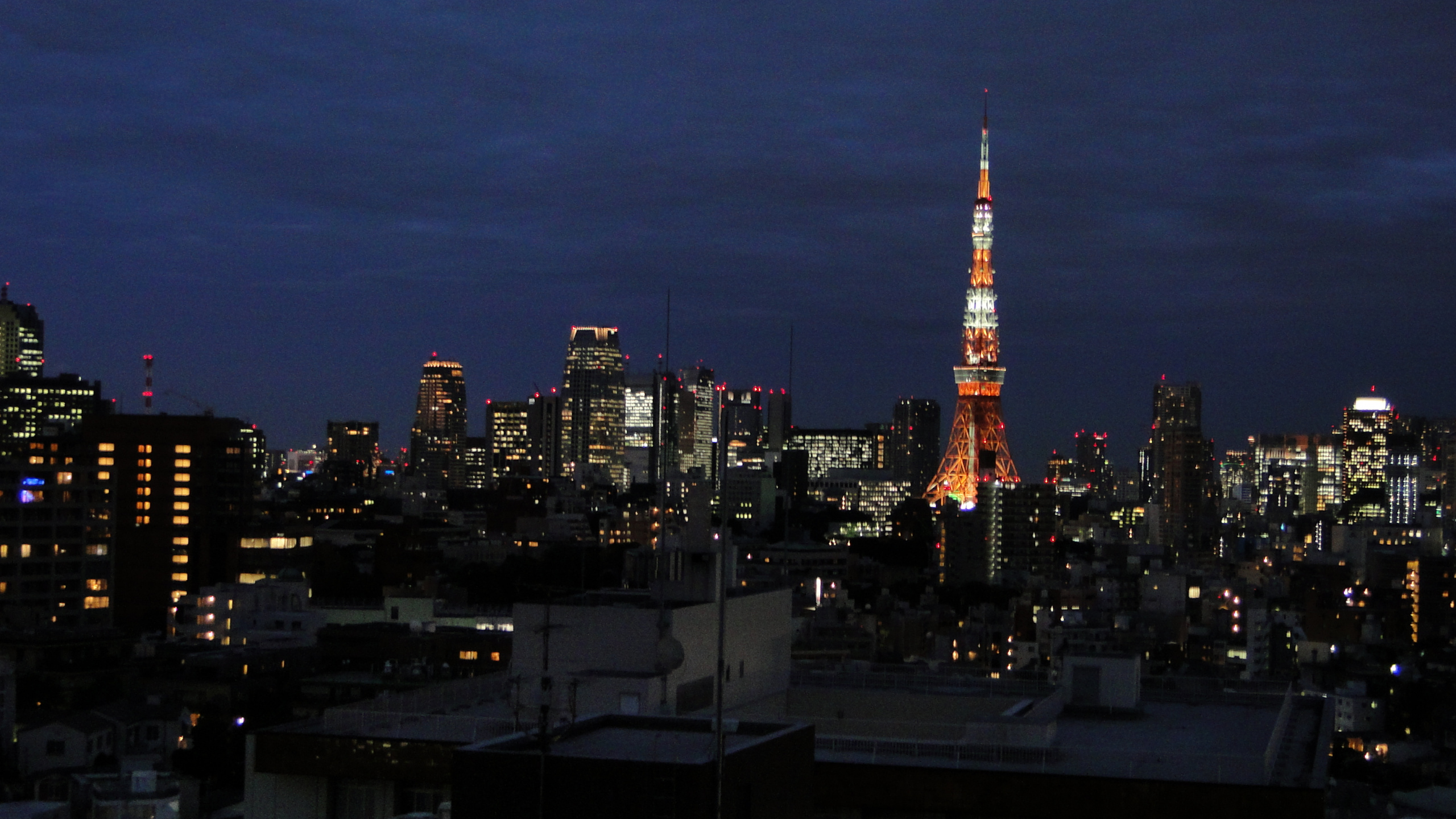 Обои Торонто, небоскреб, ночь, город, городской район в разрешении 2560x1440