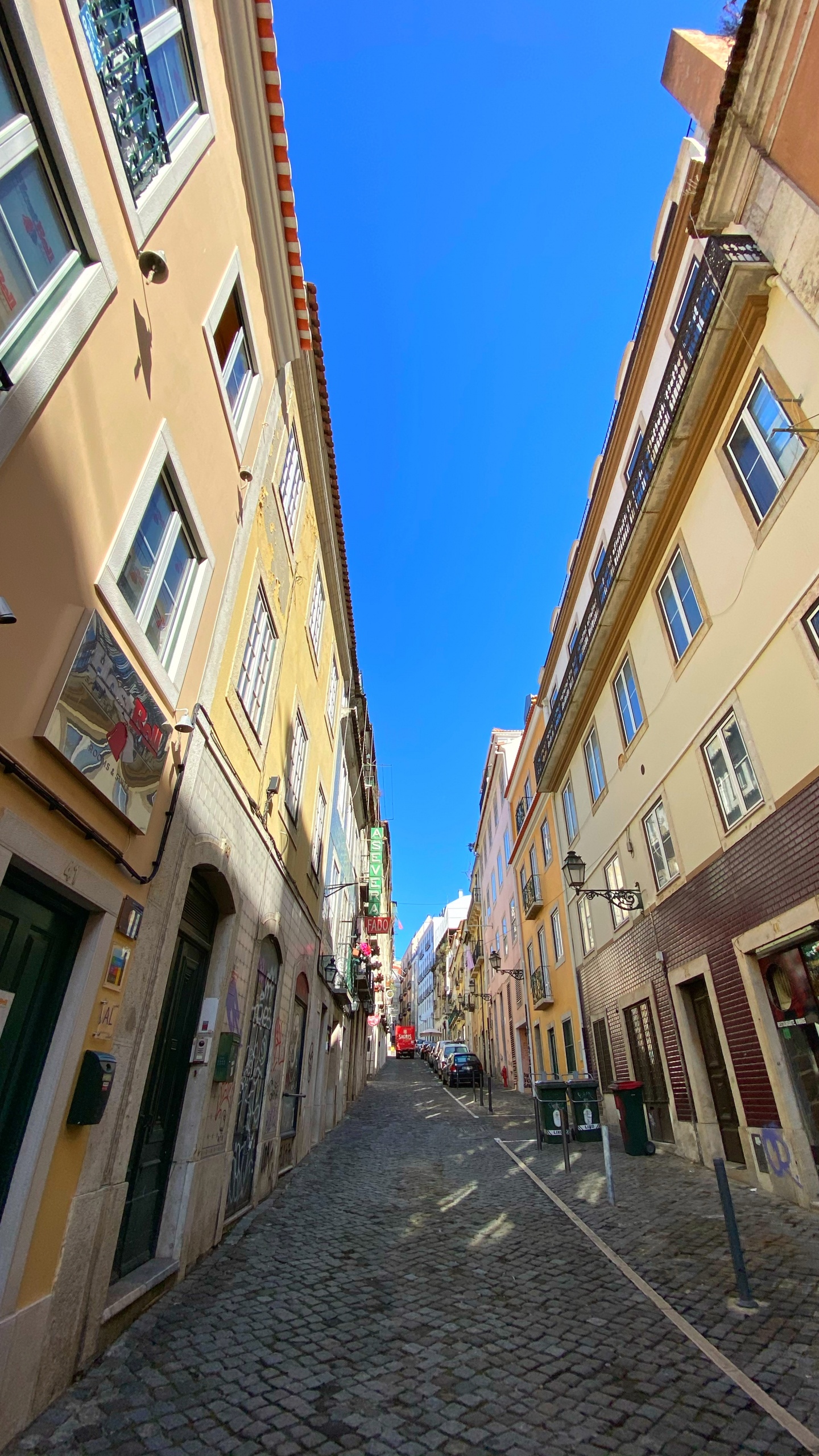 Обои аллея, окно, дорога, городок, архитектура в разрешении 1440x2560