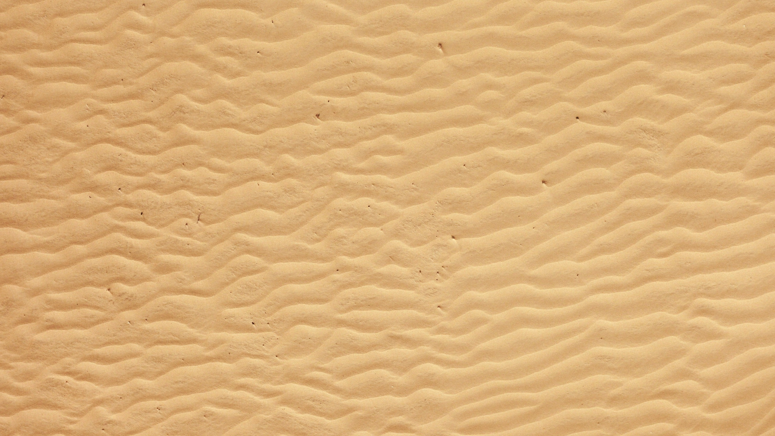 Обои песок, эрг, пейзаж, экорегион, пустыня в разрешении 2560x1440