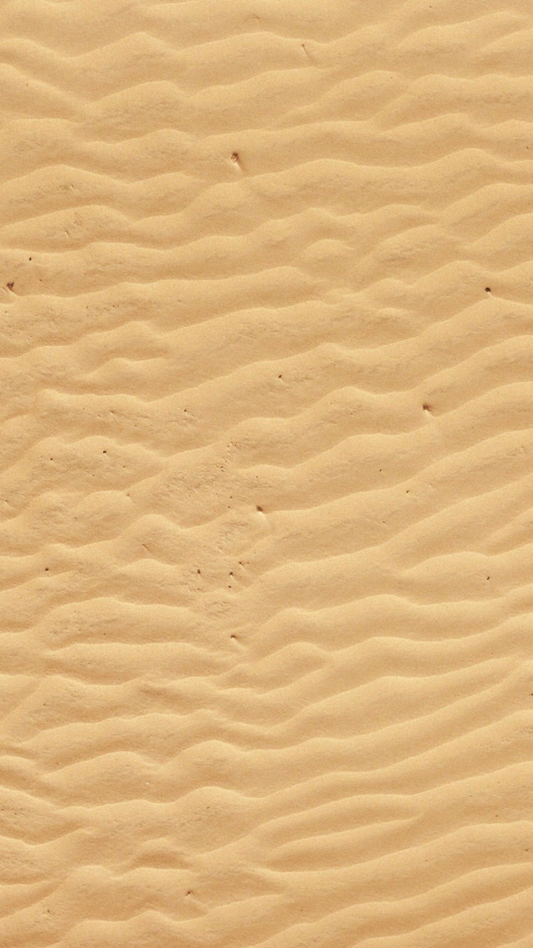 Обои песок, эрг, пейзаж, экорегион, пустыня в разрешении 750x1334