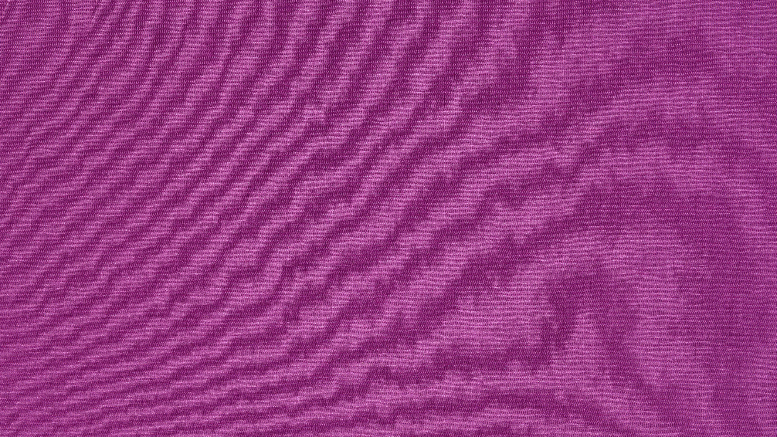 Обои сирень, Фиолетовый, розовый, пурпур, пурпурный цвет в разрешении 2560x1440