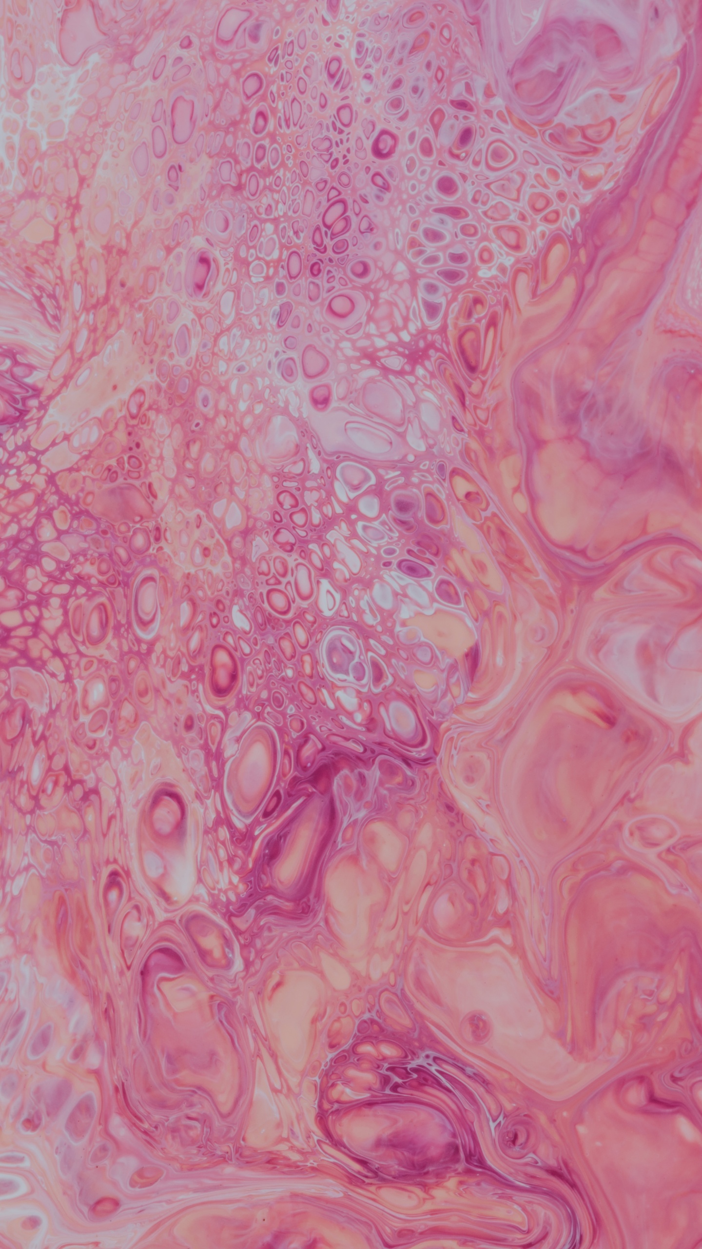 Обои визуальное искусство, персик, арт, вода, розовый в разрешении 1440x2560