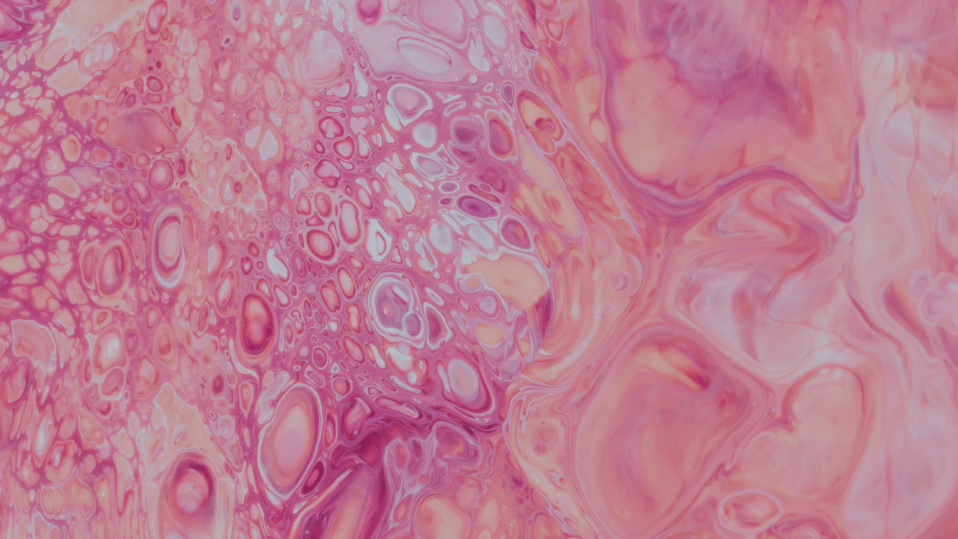 Обои визуальное искусство, персик, арт, вода, розовый в разрешении 1920x1080