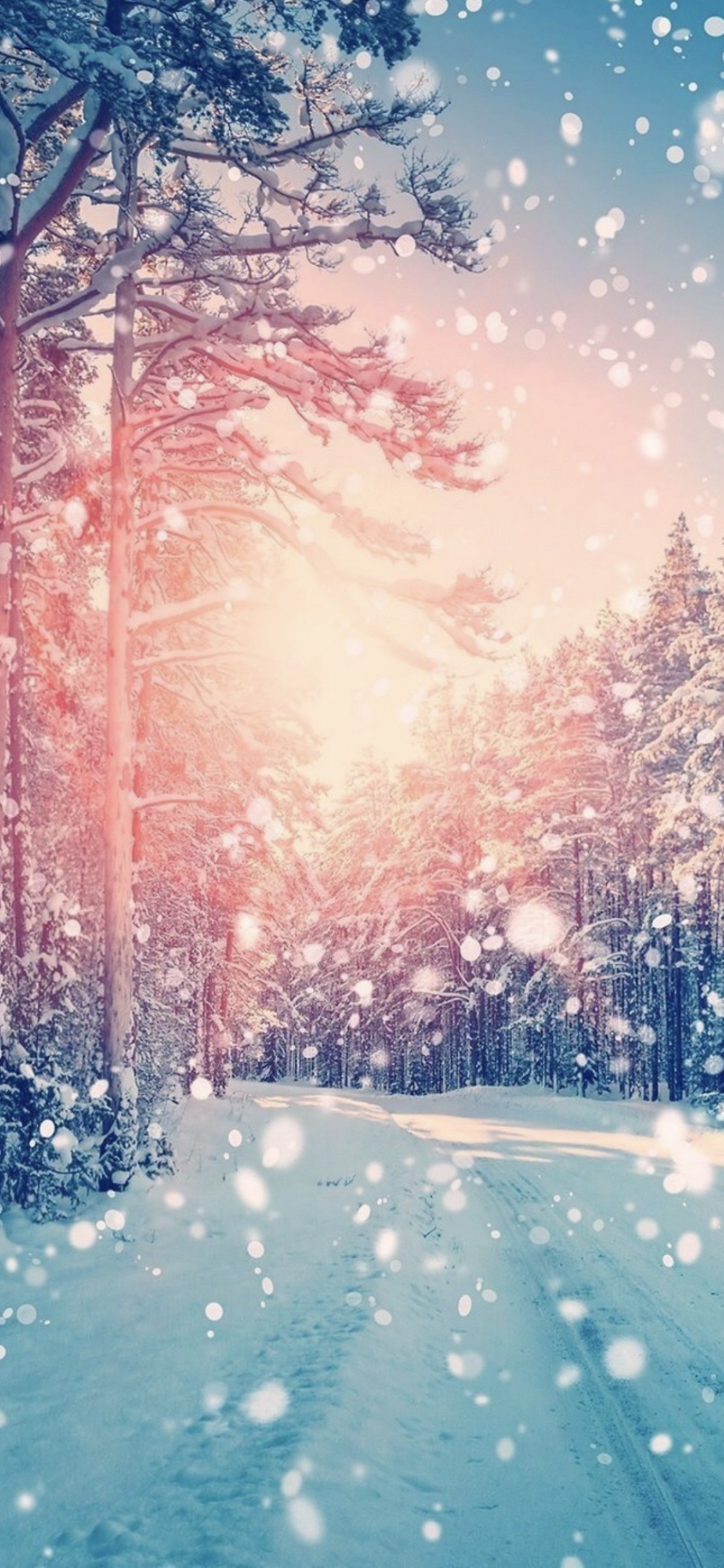 Обои атмосфера, дневное время, природа, мир, природный ландшафт в разрешении 1125x2436