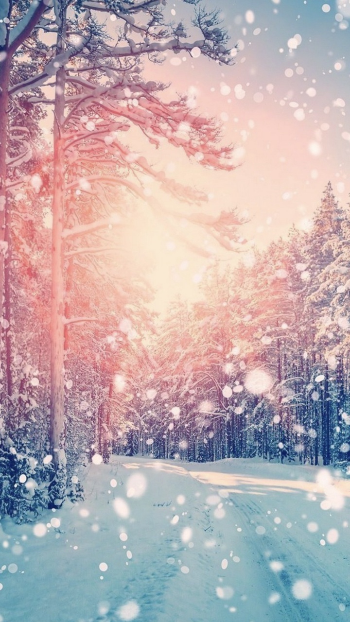 Обои атмосфера, дневное время, природа, мир, природный ландшафт в разрешении 720x1280