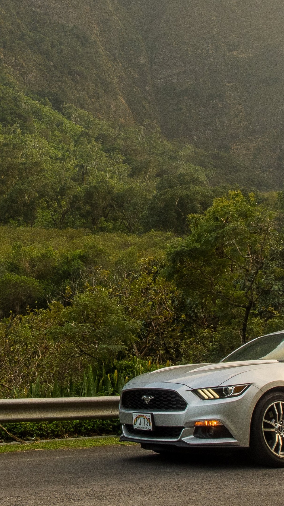 Обои спорткар, авто, Шелби Мустанг, ford, дорога в разрешении 1080x1920