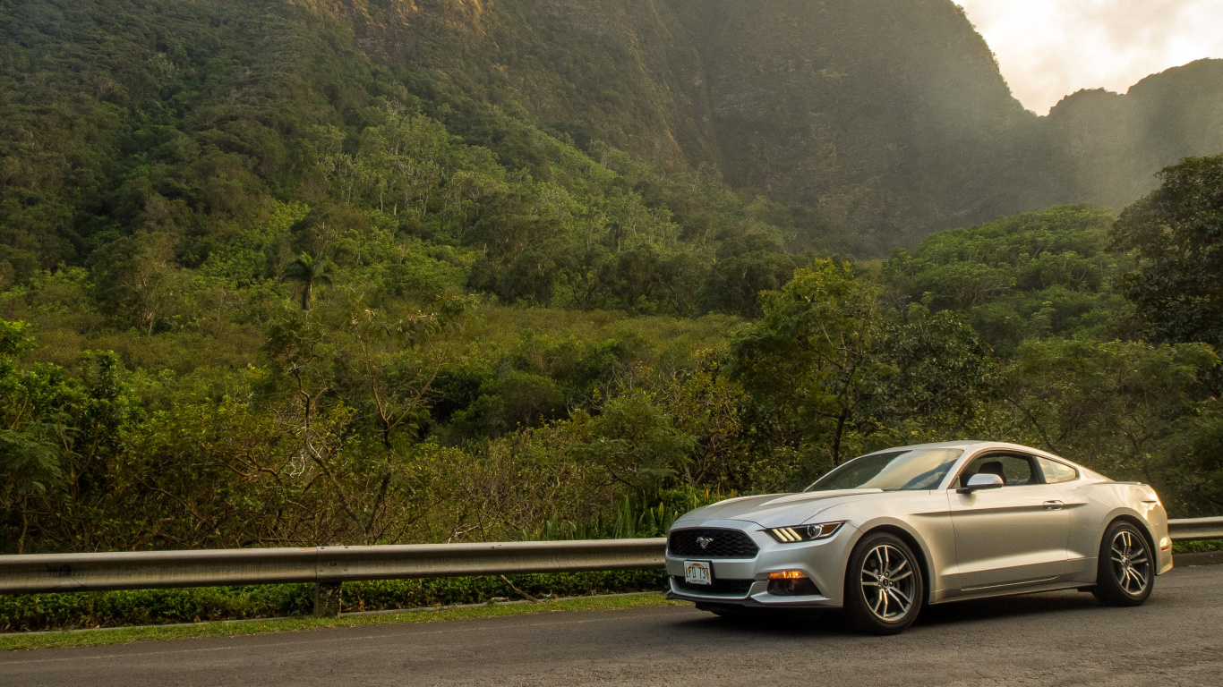 Обои спорткар, авто, Шелби Мустанг, ford, дорога в разрешении 1366x768