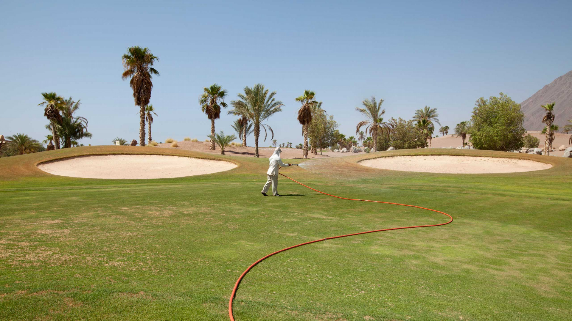 Обои площадка для гольфа, гольф, спортивные объекты, газон, земельный участок в разрешении 1920x1080