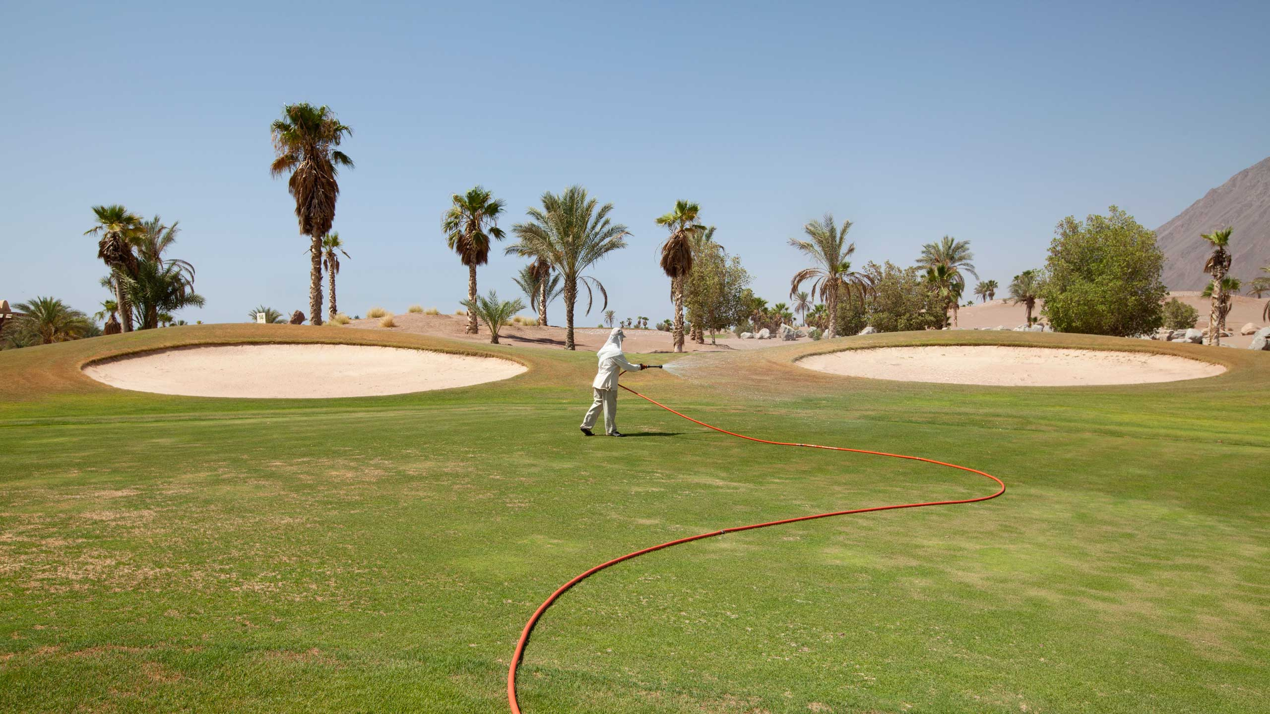 Обои площадка для гольфа, гольф, спортивные объекты, газон, земельный участок в разрешении 2560x1440