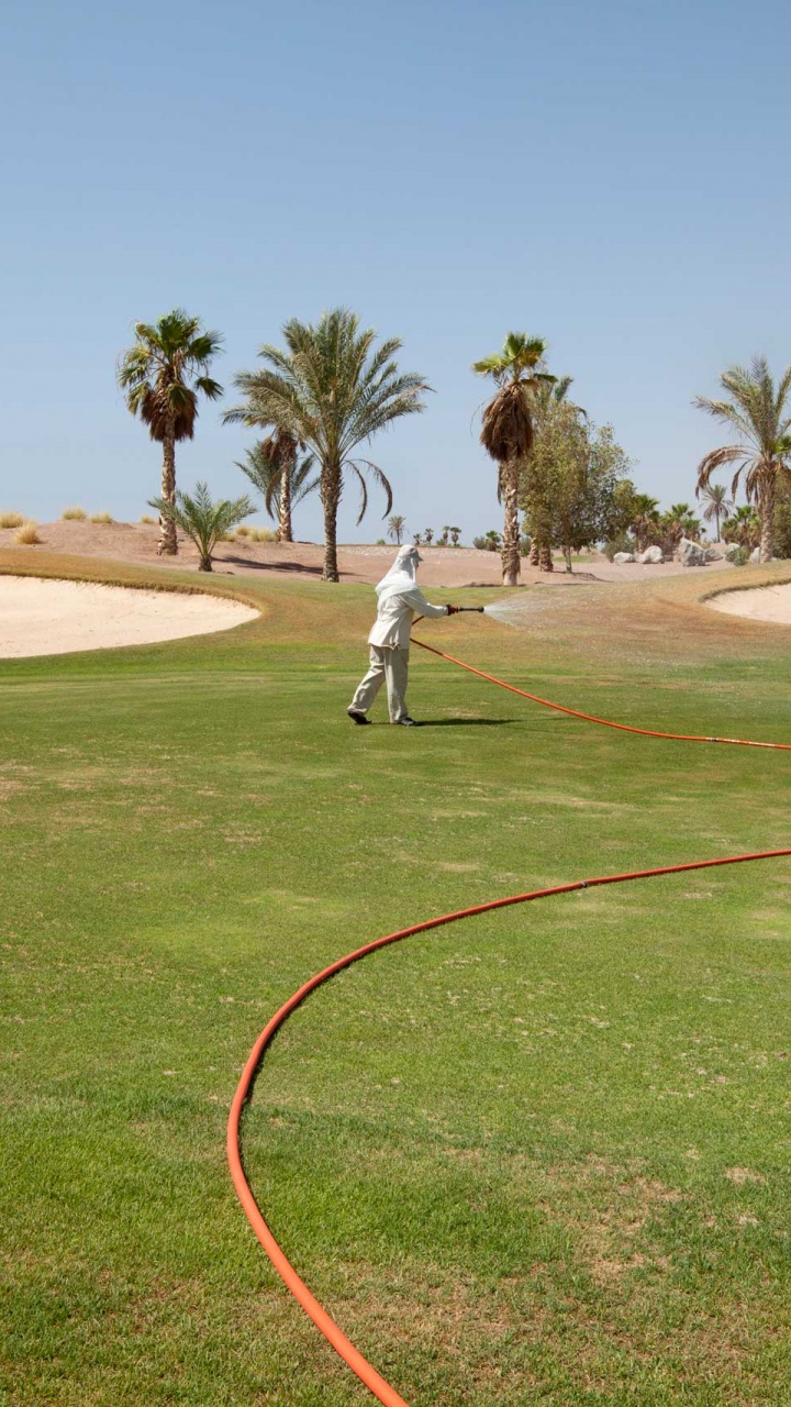 Обои площадка для гольфа, гольф, спортивные объекты, газон, земельный участок в разрешении 720x1280