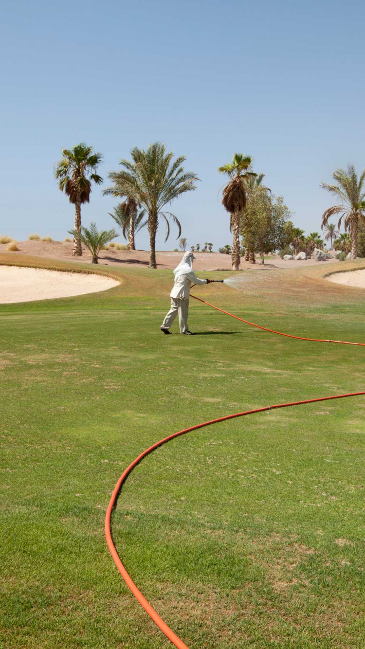 Обои площадка для гольфа, гольф, спортивные объекты, газон, земельный участок в разрешении 750x1334