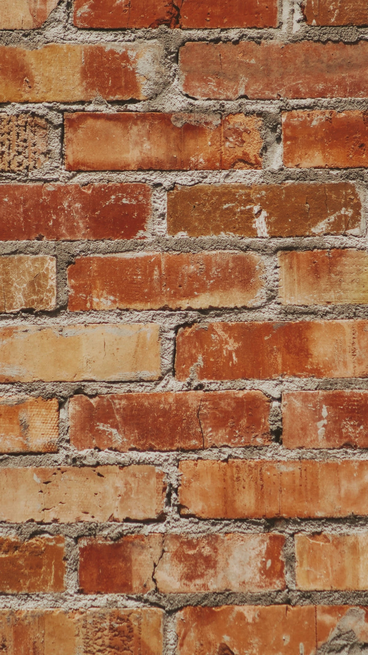 Обои кирпич, стена, кирпичная кладка, каменщик, строительный материал в разрешении 1440x2560