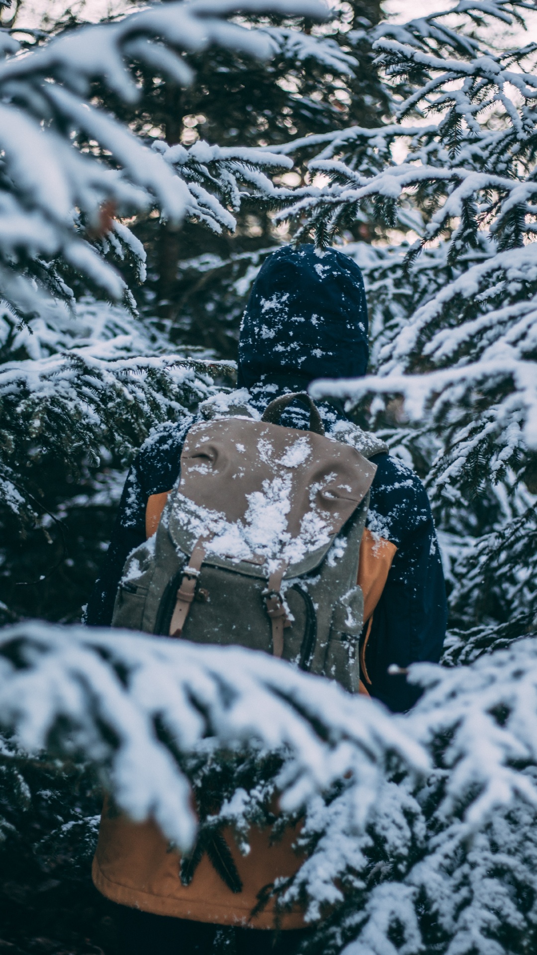Обои рюкзак, снег, путешествие, туризм, зима в разрешении 1080x1920