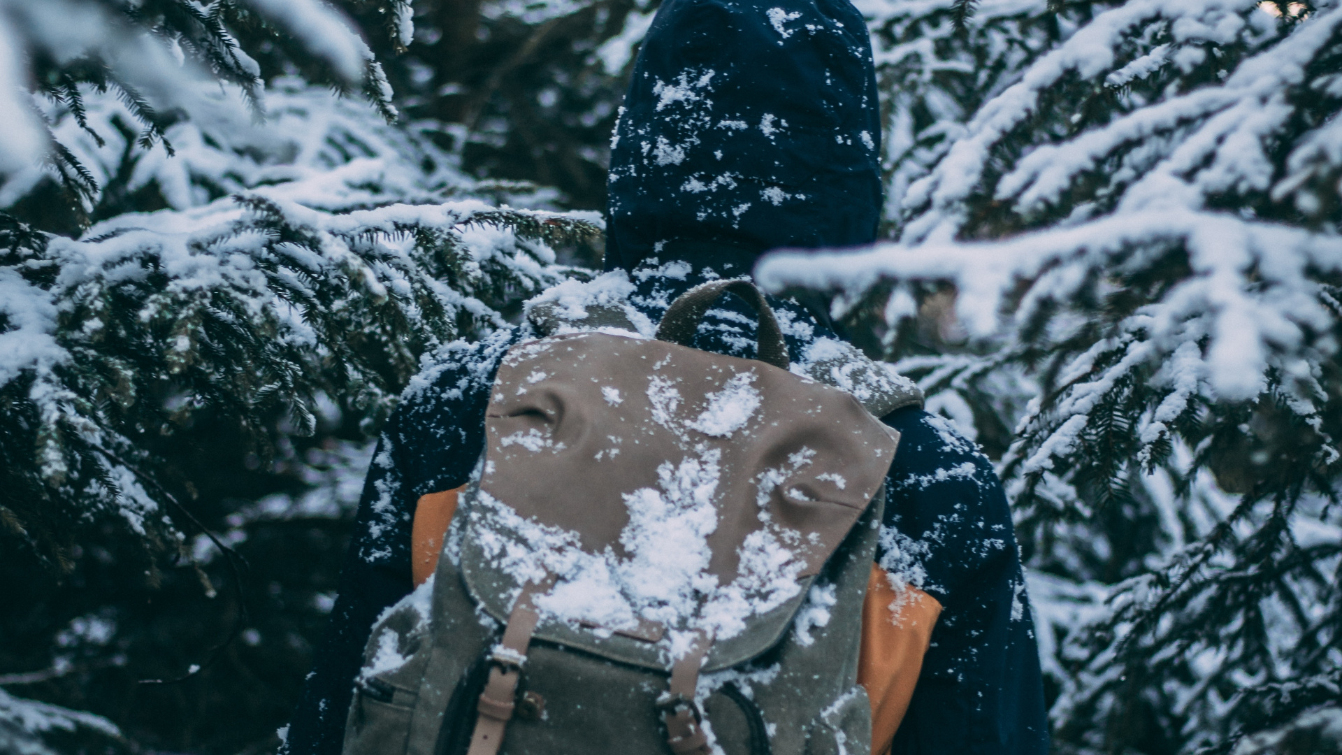 Обои рюкзак, снег, путешествие, туризм, зима в разрешении 1920x1080