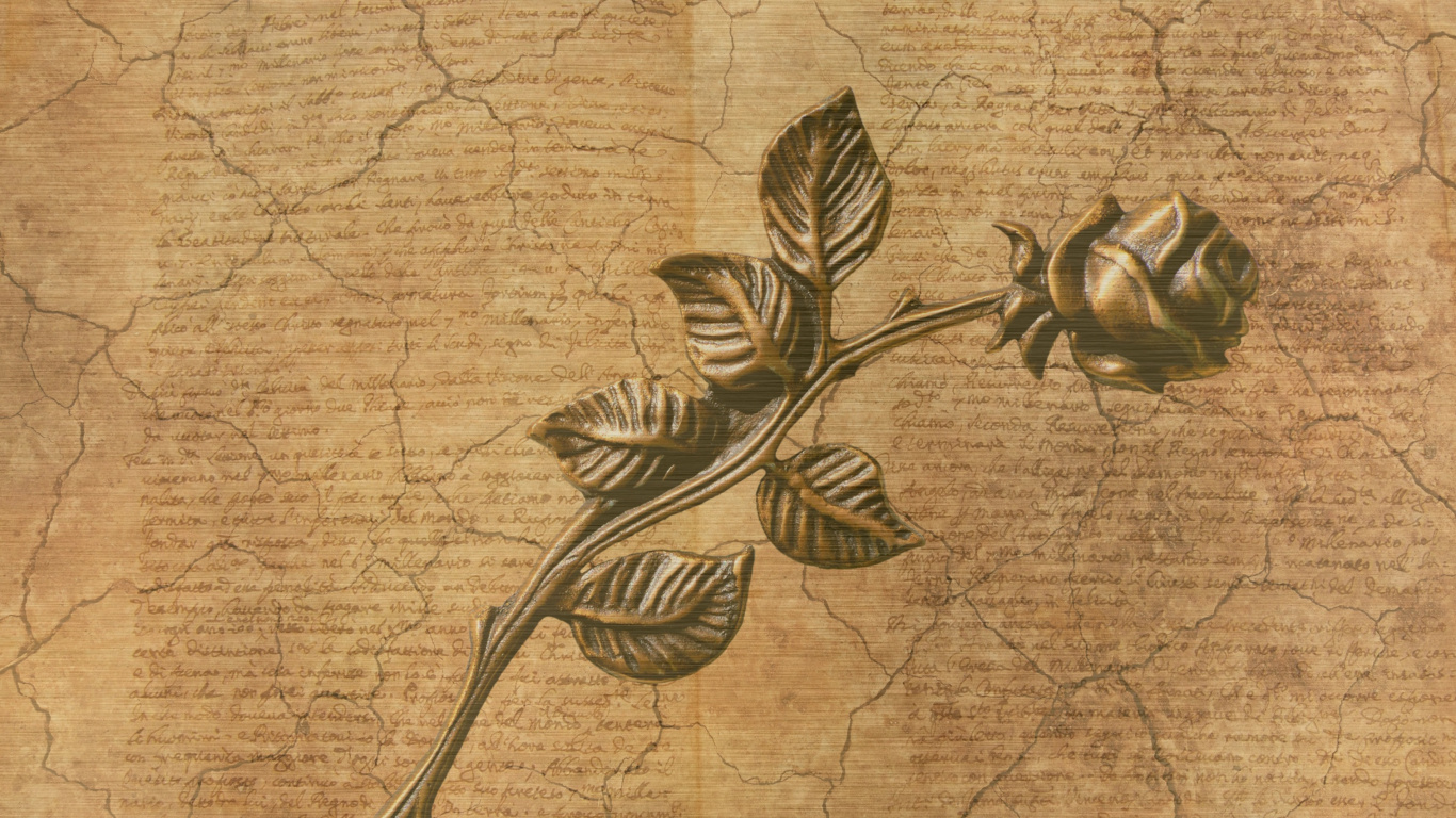 Обои бумага, лист, растение, цветок, стебель растения в разрешении 1366x768