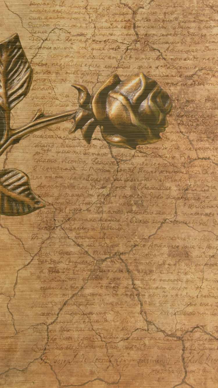 Обои бумага, лист, растение, цветок, стебель растения в разрешении 750x1334