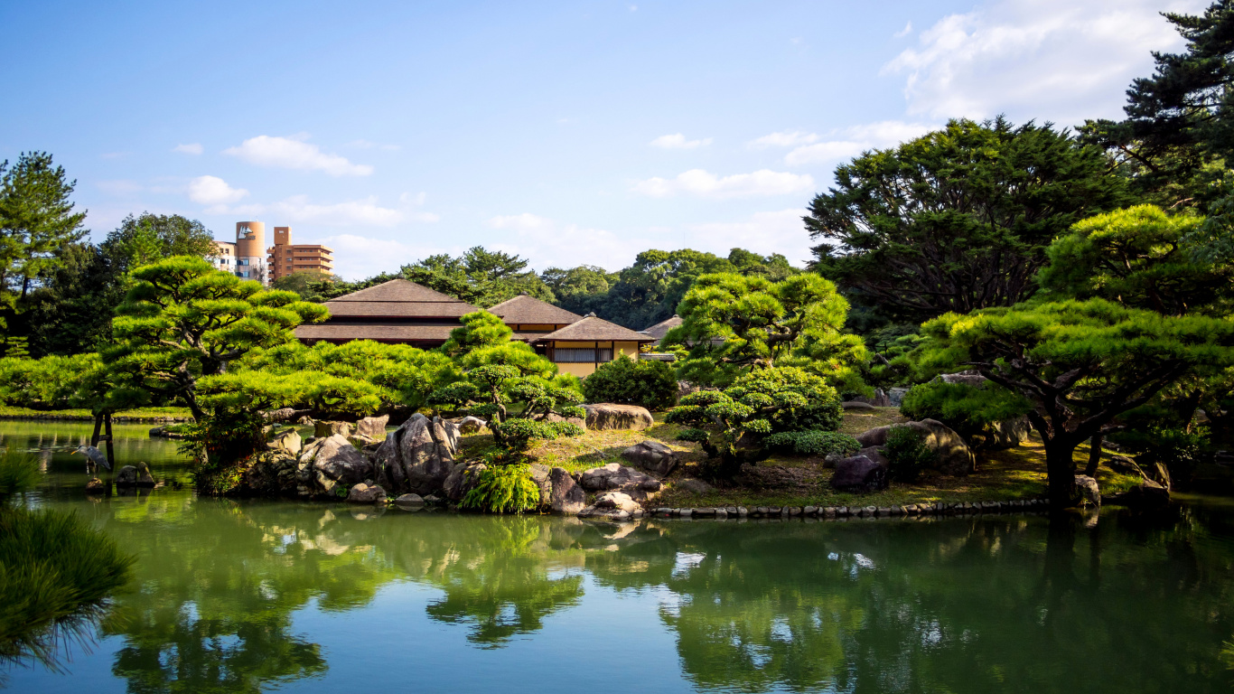 Обои Рицурин Сад, сад, дерево, садовый пруд, отражение в разрешении 1366x768