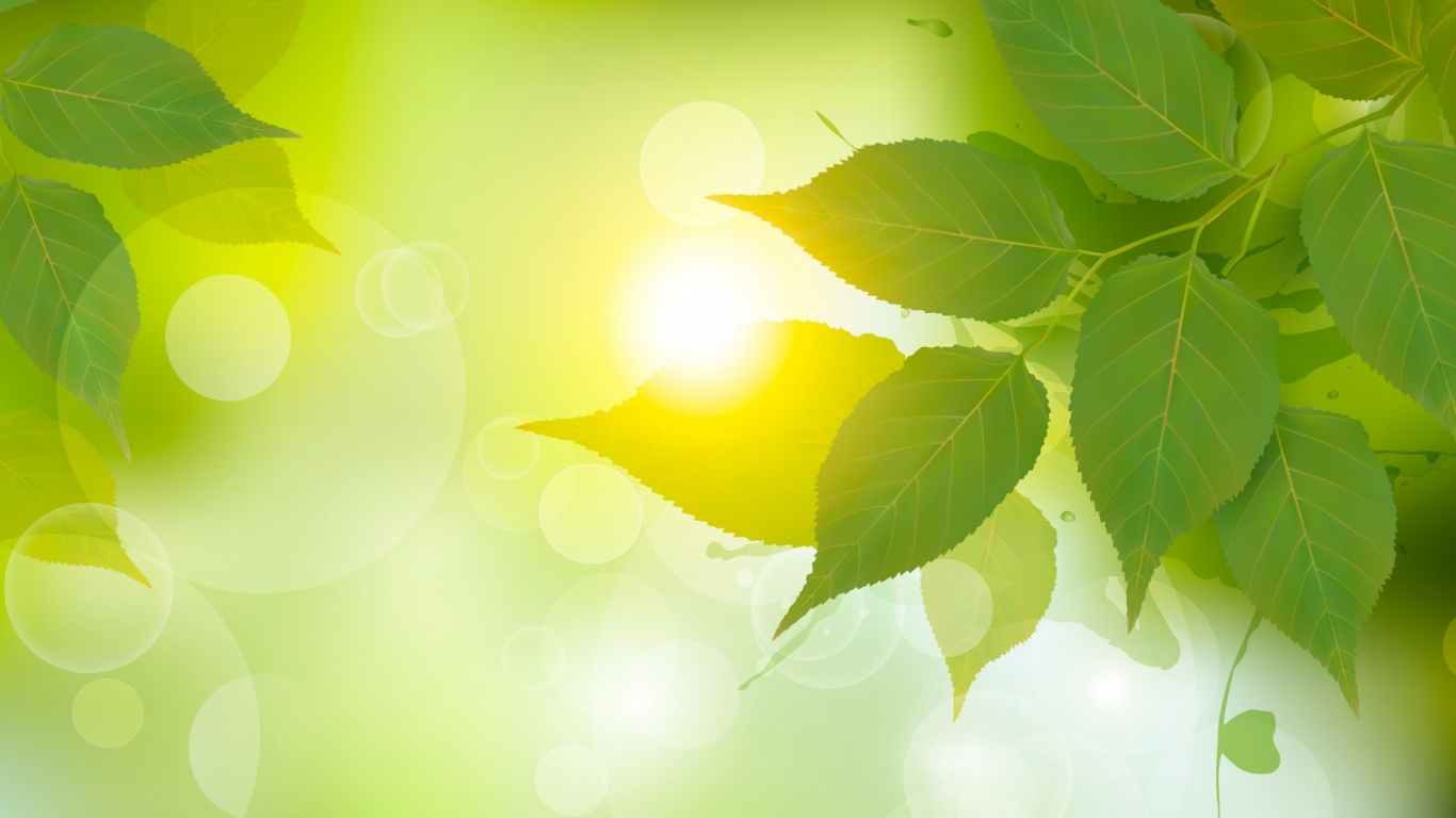 Обои лист, ветвь, свет, зеленый, солнечный свет в разрешении 1366x768