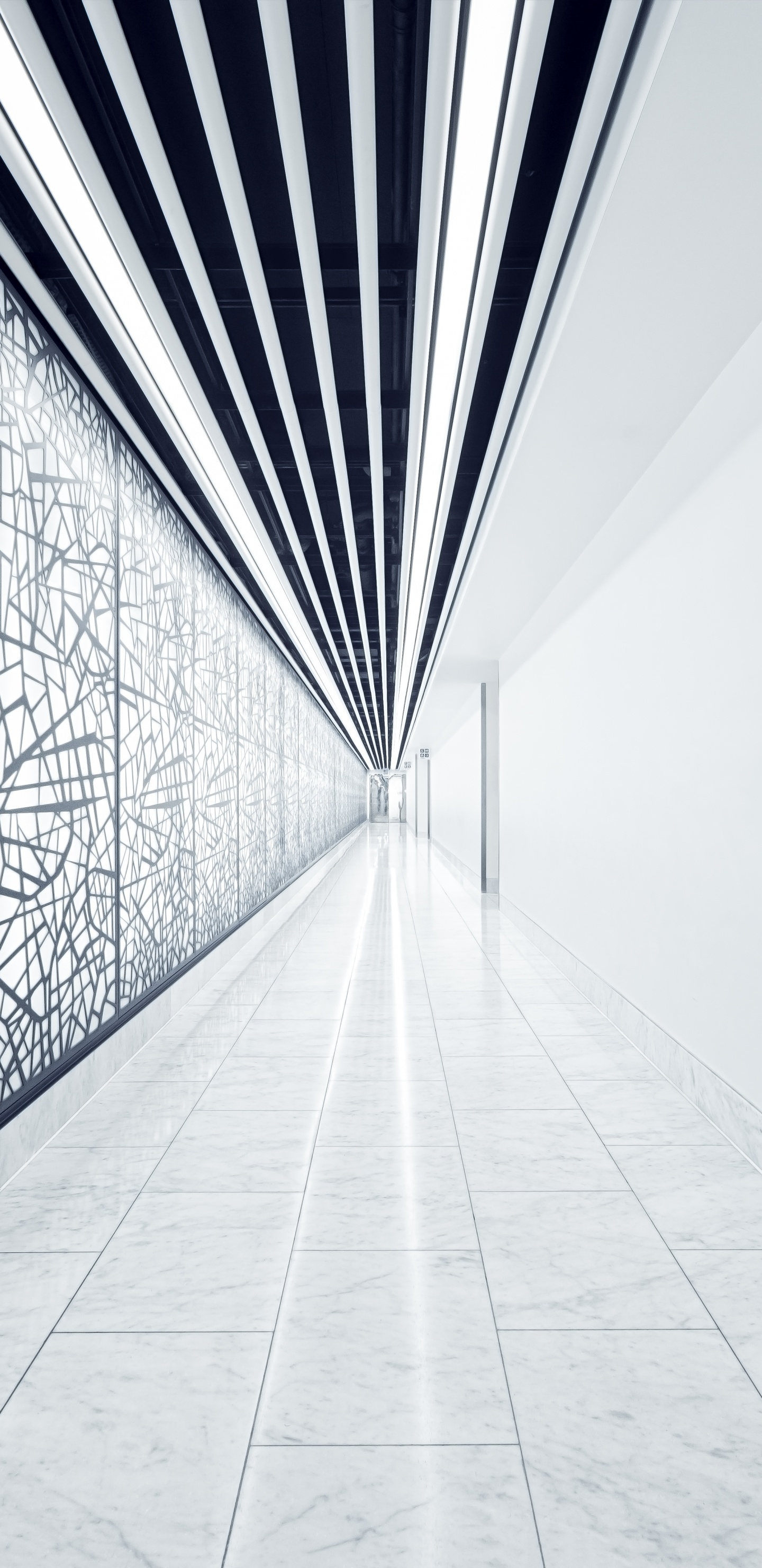 Обои архитектура, черный и белый, дизайн, белые, линия в разрешении 1440x2960