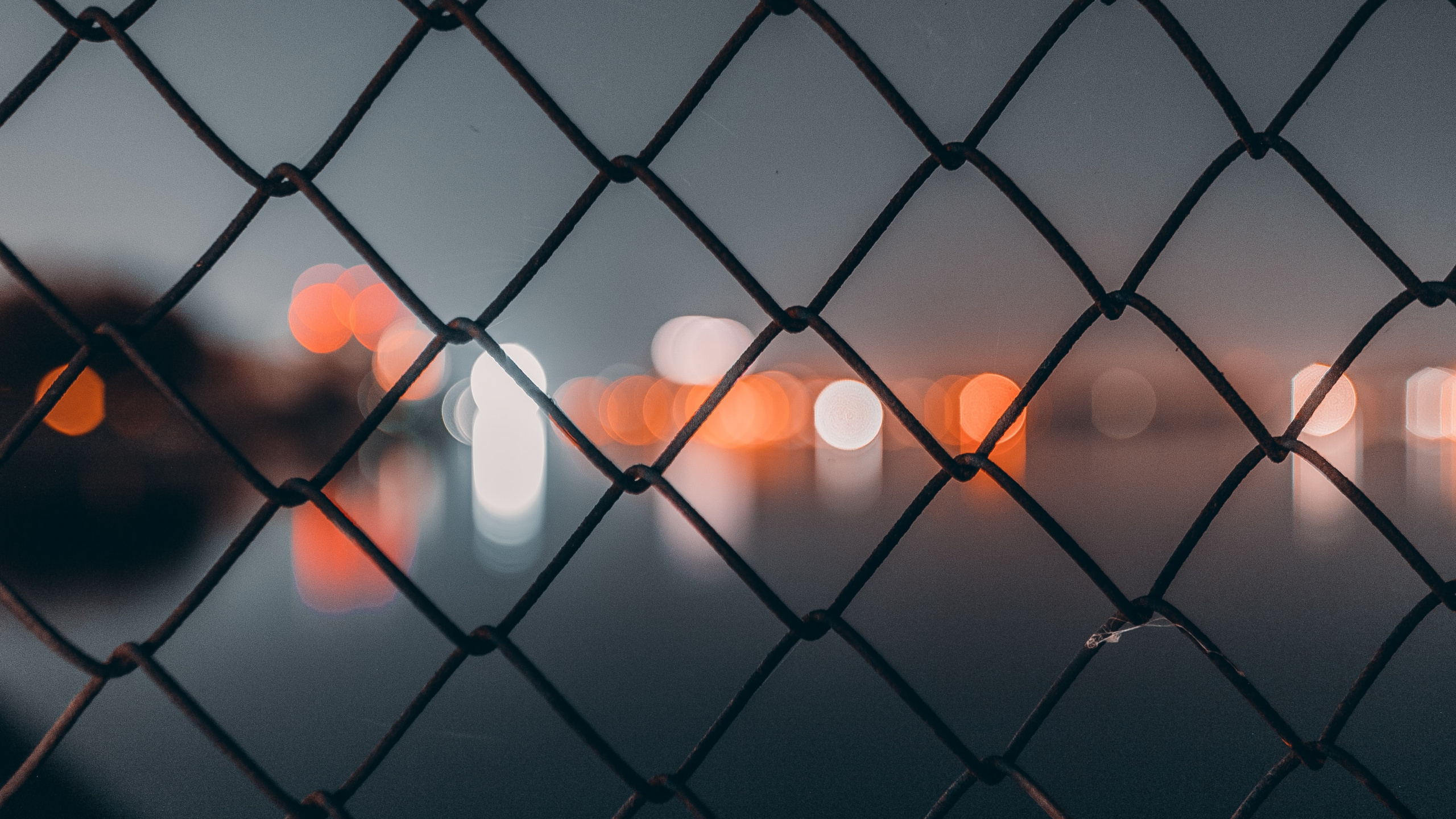 Обои забор, ячейка, ограждать провода, линия, узор в разрешении 2560x1440