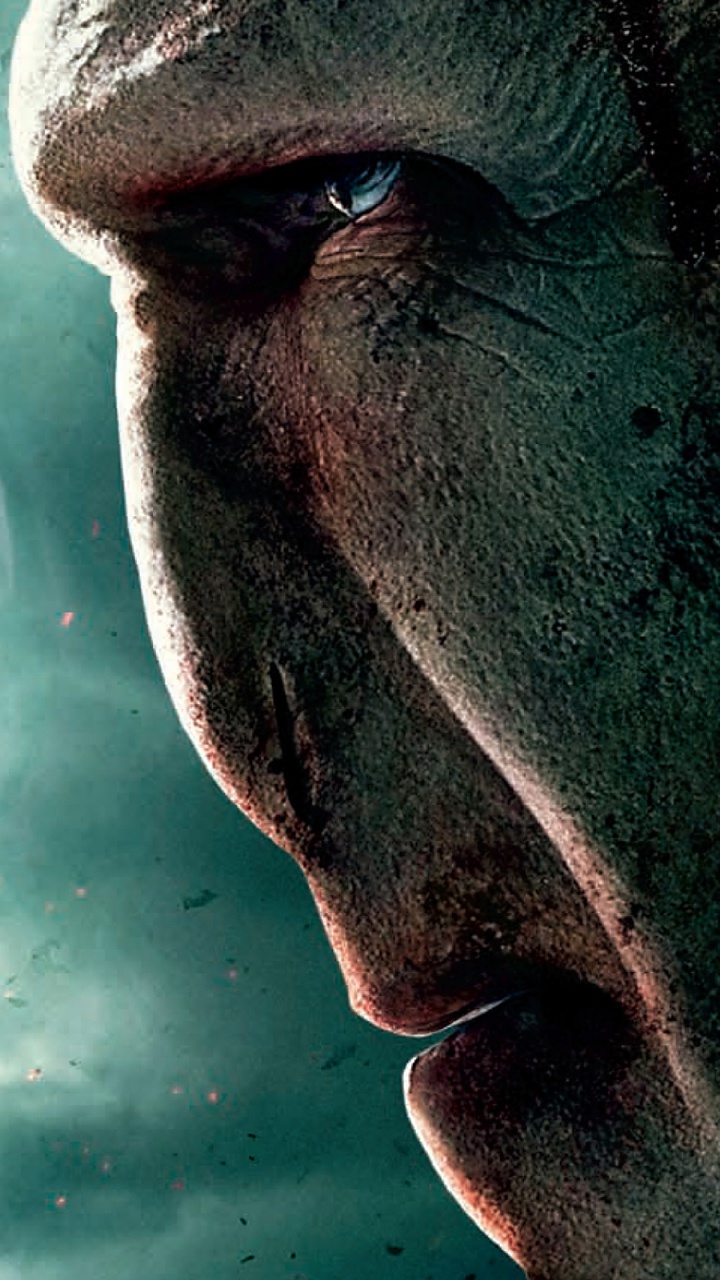 Обои Лорд Волдеморт, Гарри Поттер, человек, волосы на лице, темнота в разрешении 720x1280