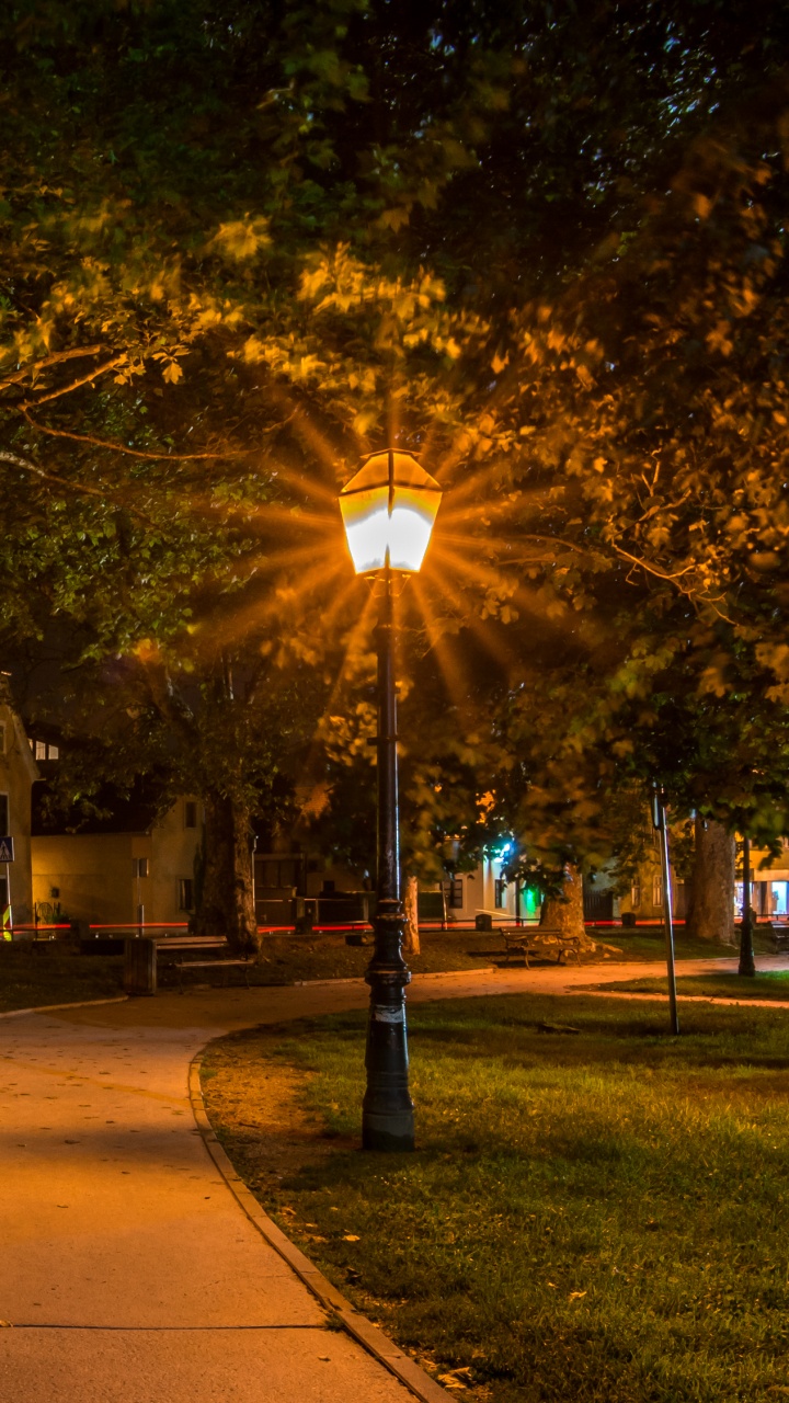 Обои Загреб, ночь, дерево, уличный фонарь, свет в разрешении 720x1280