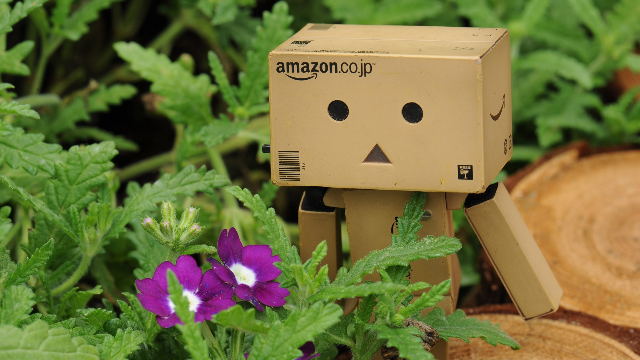 Обои робот, растение, растения, Флора, цветы в разрешении 1280x720