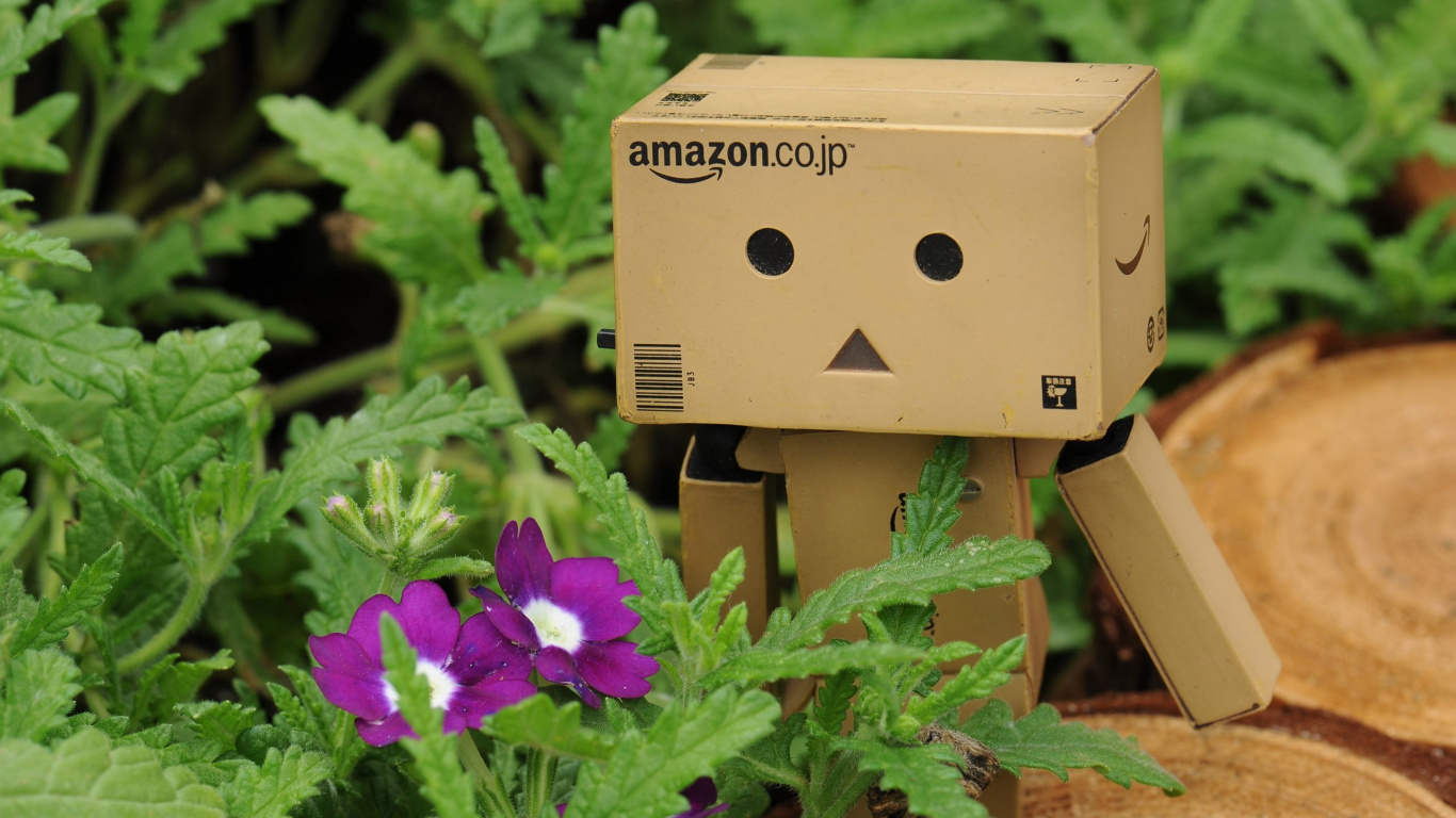 Обои робот, растение, растения, Флора, цветы в разрешении 1366x768