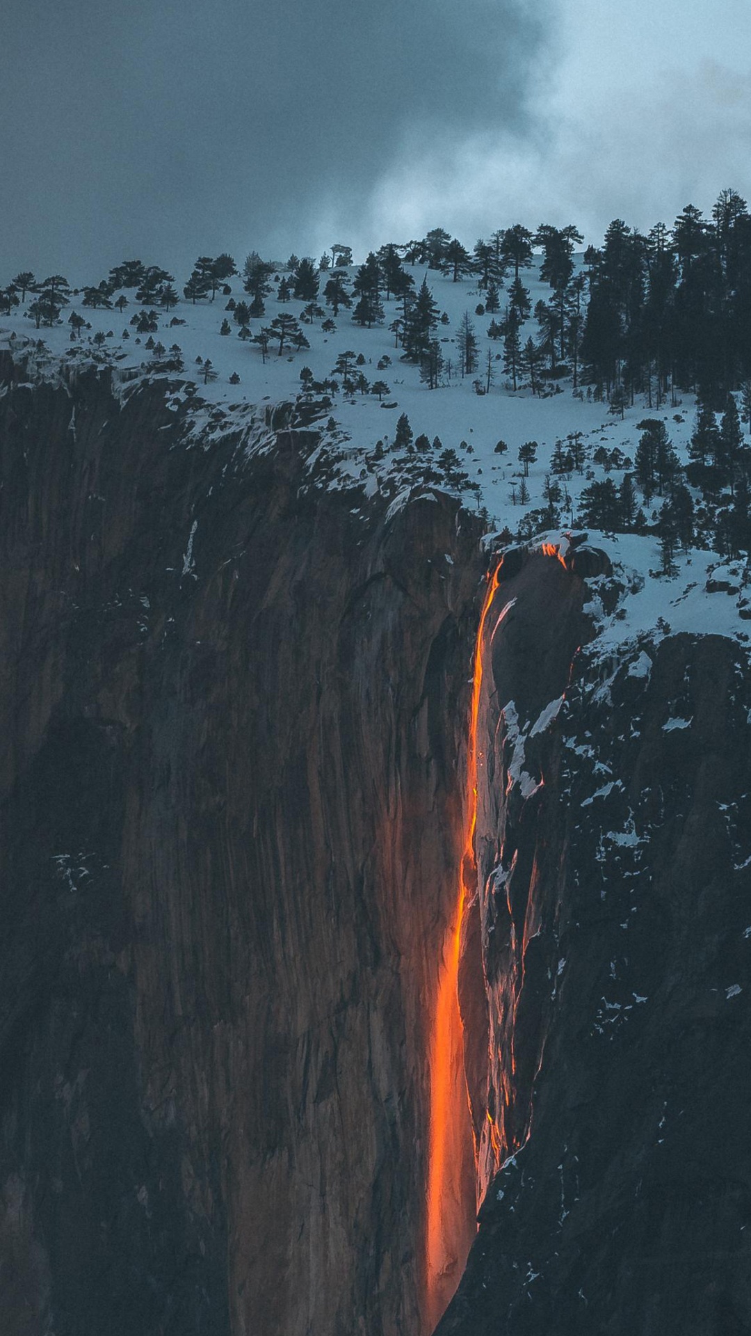 Обои рок, дерево, геология, мир, формирование в разрешении 1080x1920