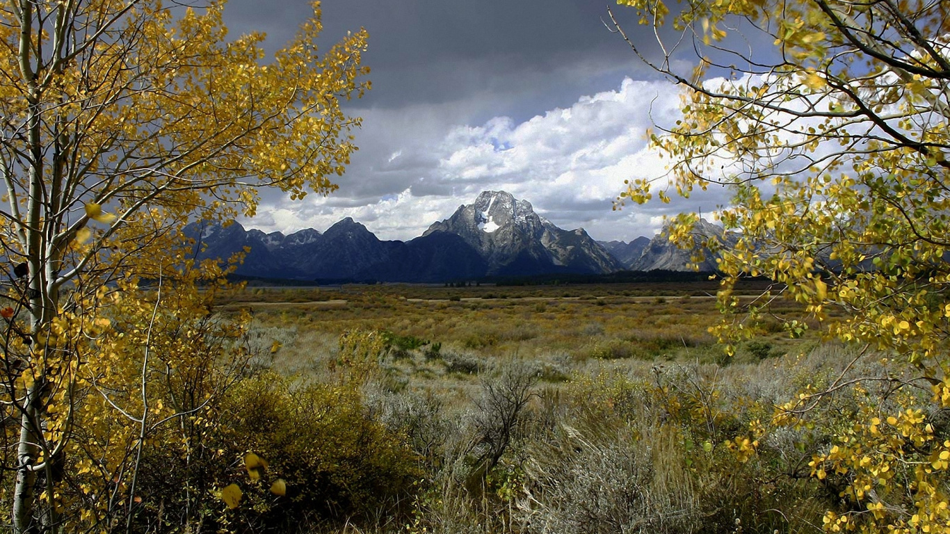 Обои природа, дерево, дикая местность, облако, природный заповедник в разрешении 1366x768