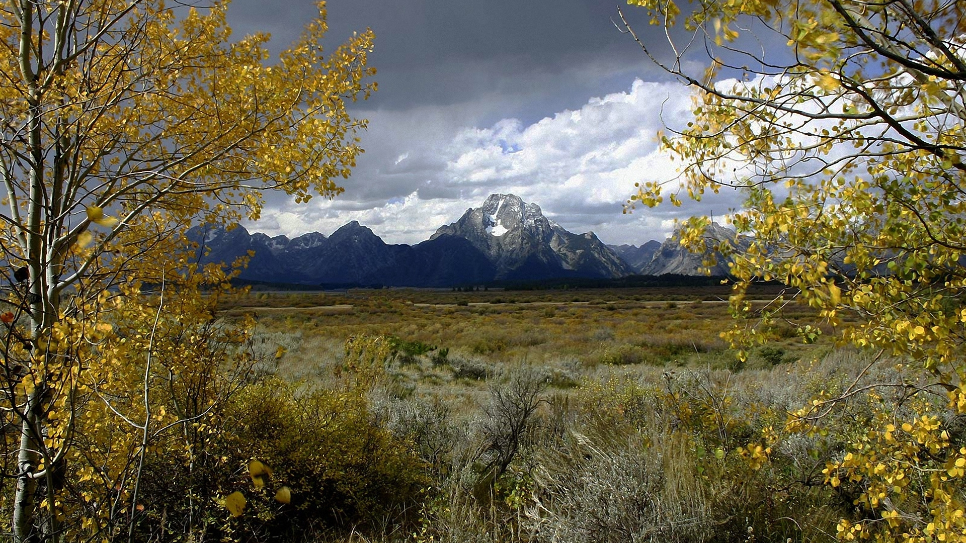 Обои природа, дерево, дикая местность, облако, природный заповедник в разрешении 1920x1080