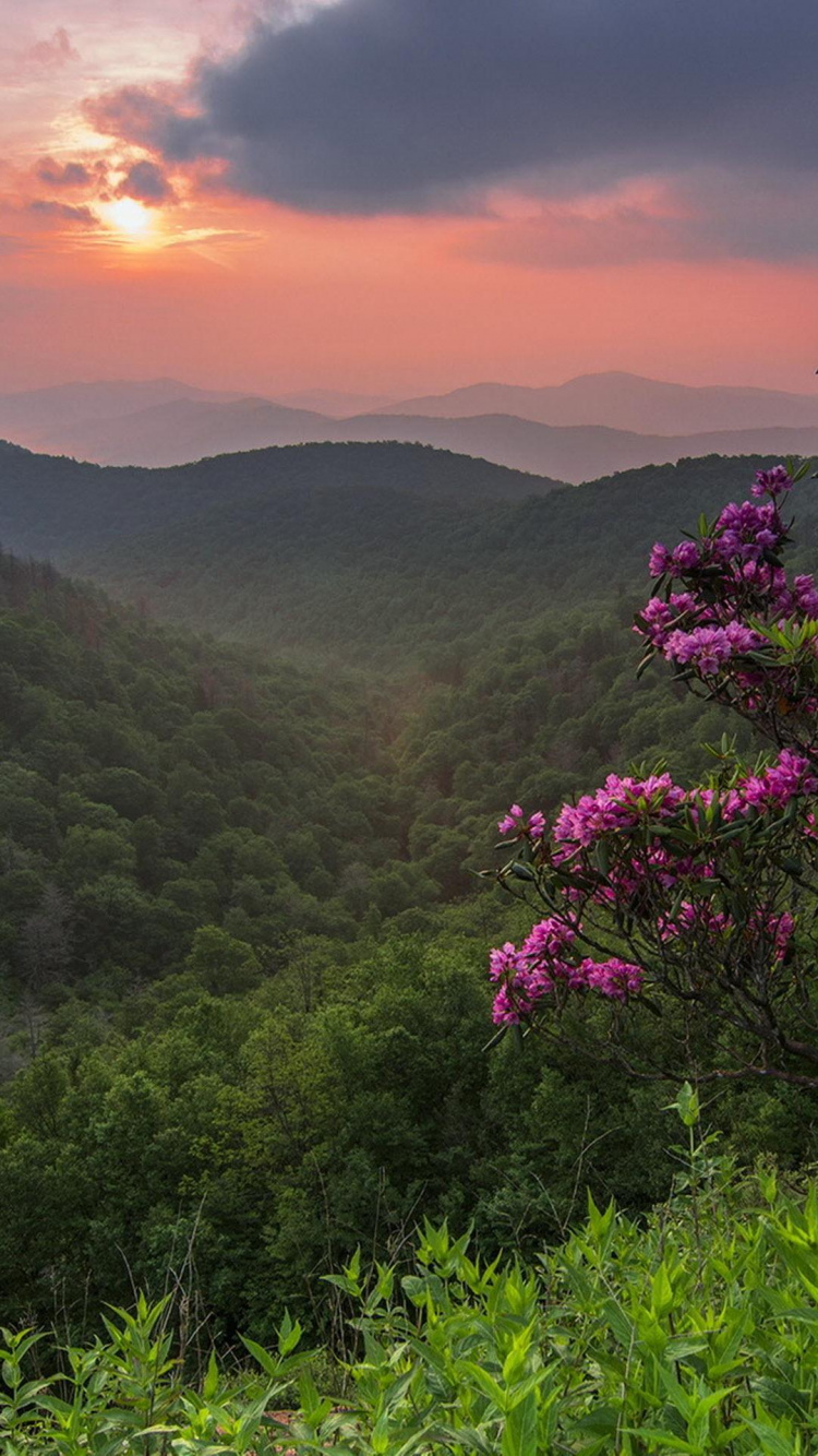 Обои природа, растительность, природный ландшафт, горный рельеф, гора в разрешении 750x1334