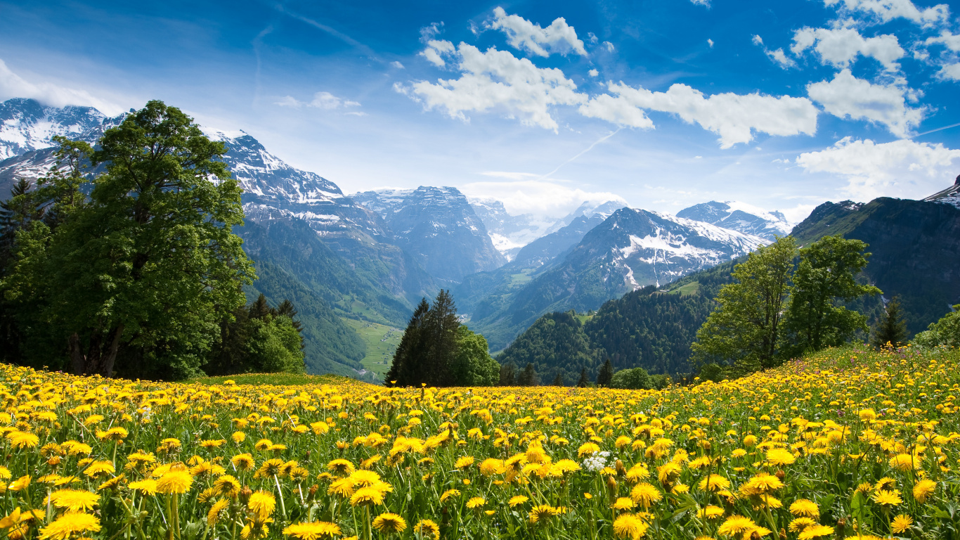 Обои луг, природа, горный рельеф, сенокосное угодье, природный заповедник в разрешении 1366x768