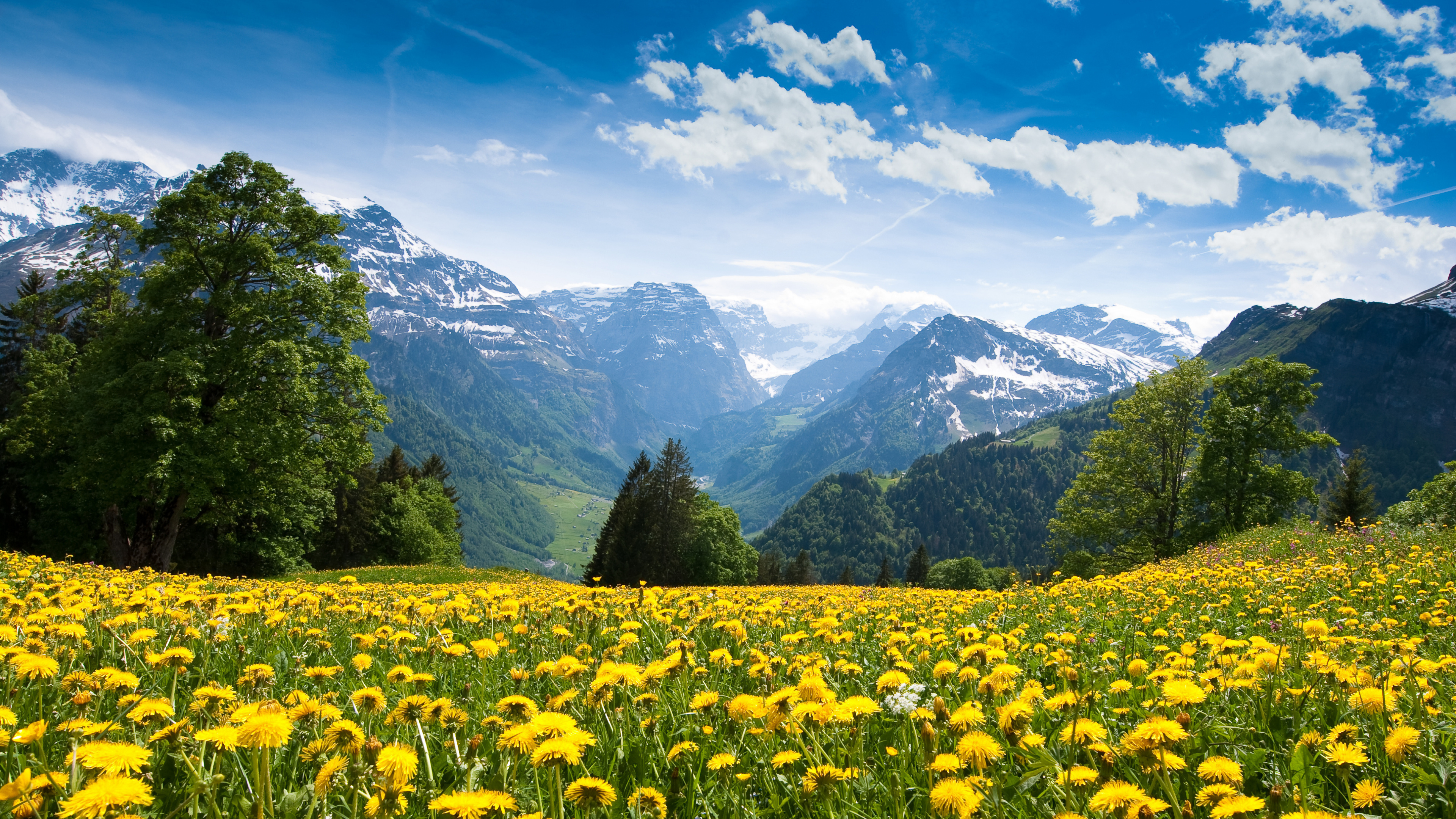 Обои луг, природа, горный рельеф, сенокосное угодье, природный заповедник в разрешении 3840x2160