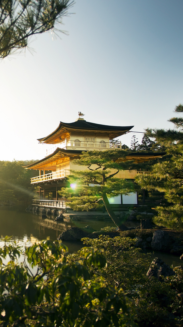 Обои природа, отражение, утро, дерево, солнечный свет в разрешении 750x1334