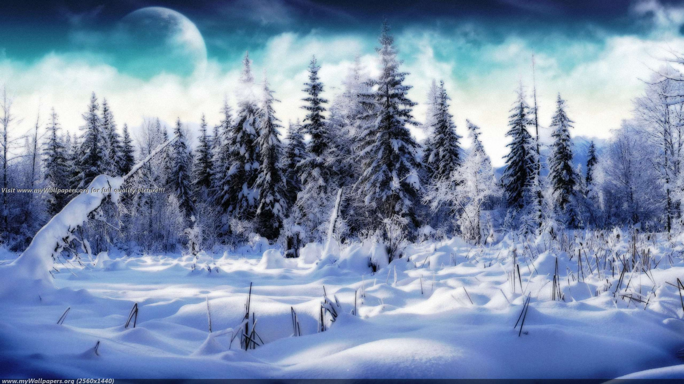 Обои зима, снег, природа, замораживание, дерево в разрешении 1366x768