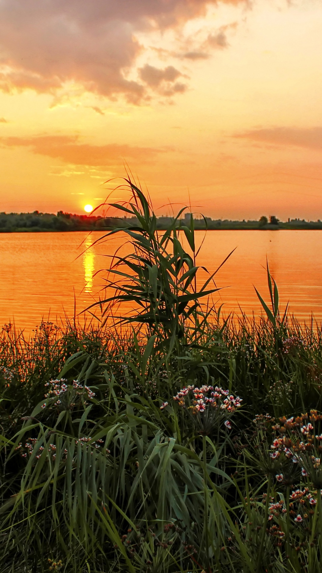 Обои природа, закат, вода, вечер, Банк в разрешении 1080x1920