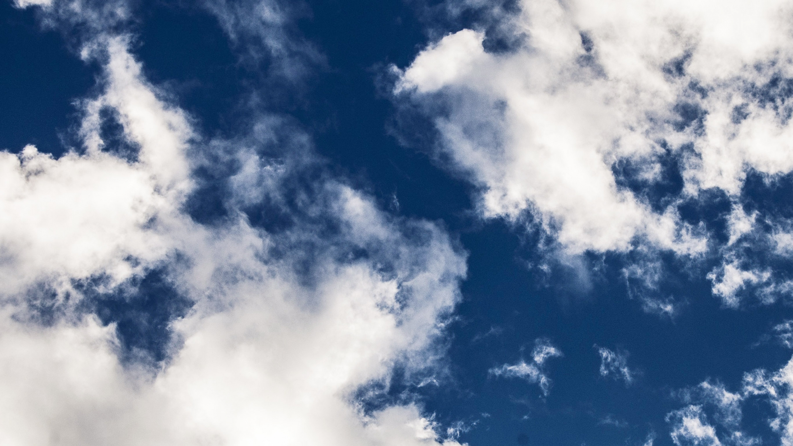 Обои небо, облако, лето, темно-синее небо с облаками, атмосфера в разрешении 2560x1440