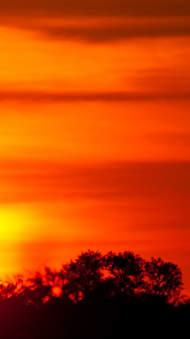 Обои Африка, закат, послесвечение, восход солнца, солнце в разрешении 750x1334