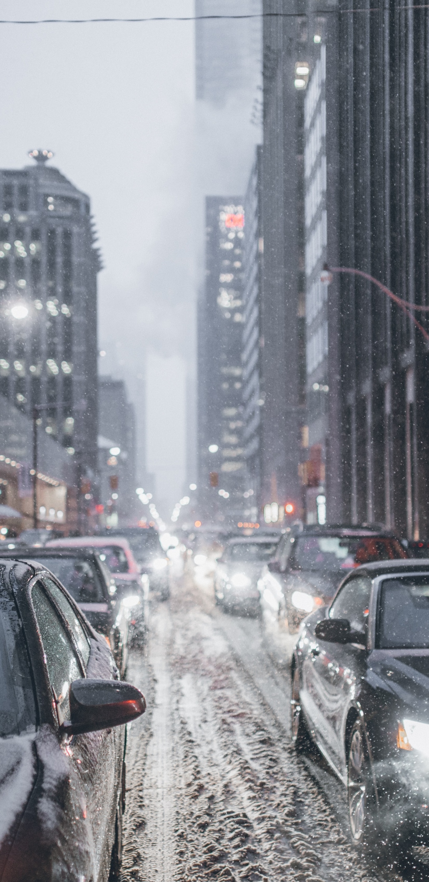 Обои блог, пресса, легковые автомобили, здание, автомобильное освещение в разрешении 1440x2960