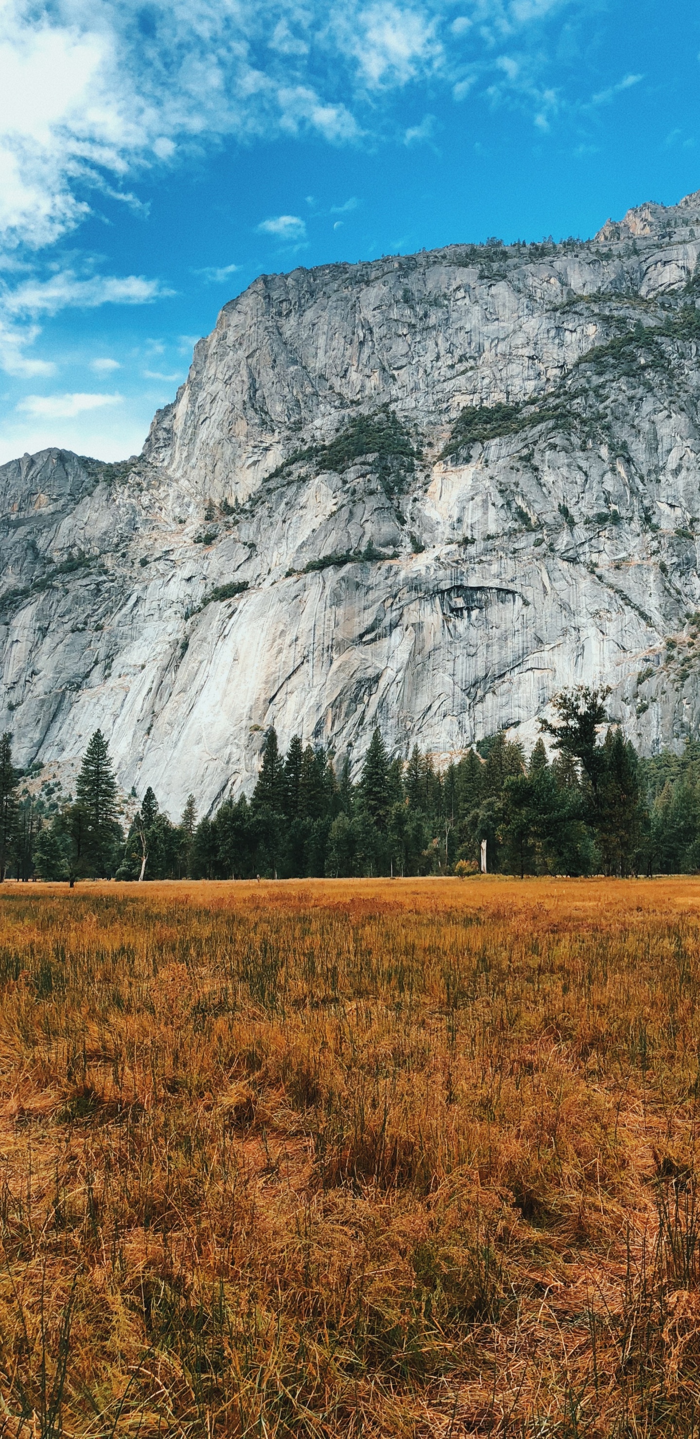 Обои Калифорния, США, йосемити, йосемитский национальный парк, горный рельеф в разрешении 1440x2960