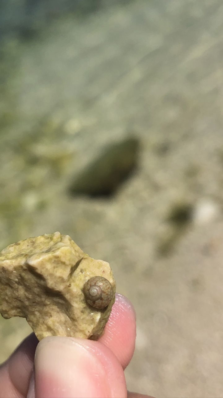 Обои рок, минеральные, палец, хаки, крупный план в разрешении 720x1280