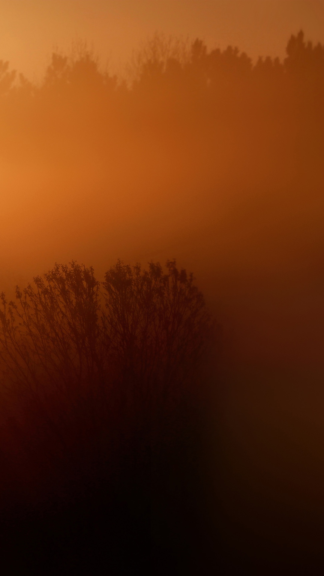 Обои LG, LG X Venture, природа, коричневый цвет, желтый в разрешении 1080x1920