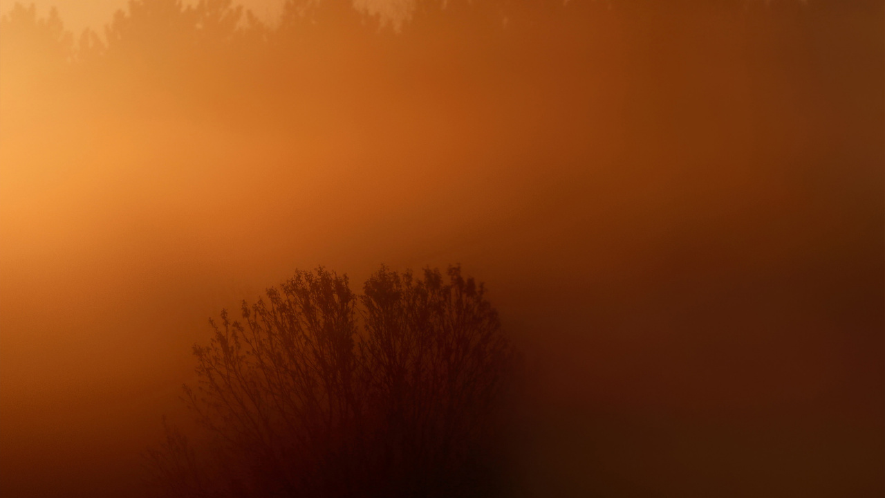 Обои LG, LG X Venture, природа, коричневый цвет, желтый в разрешении 1280x720