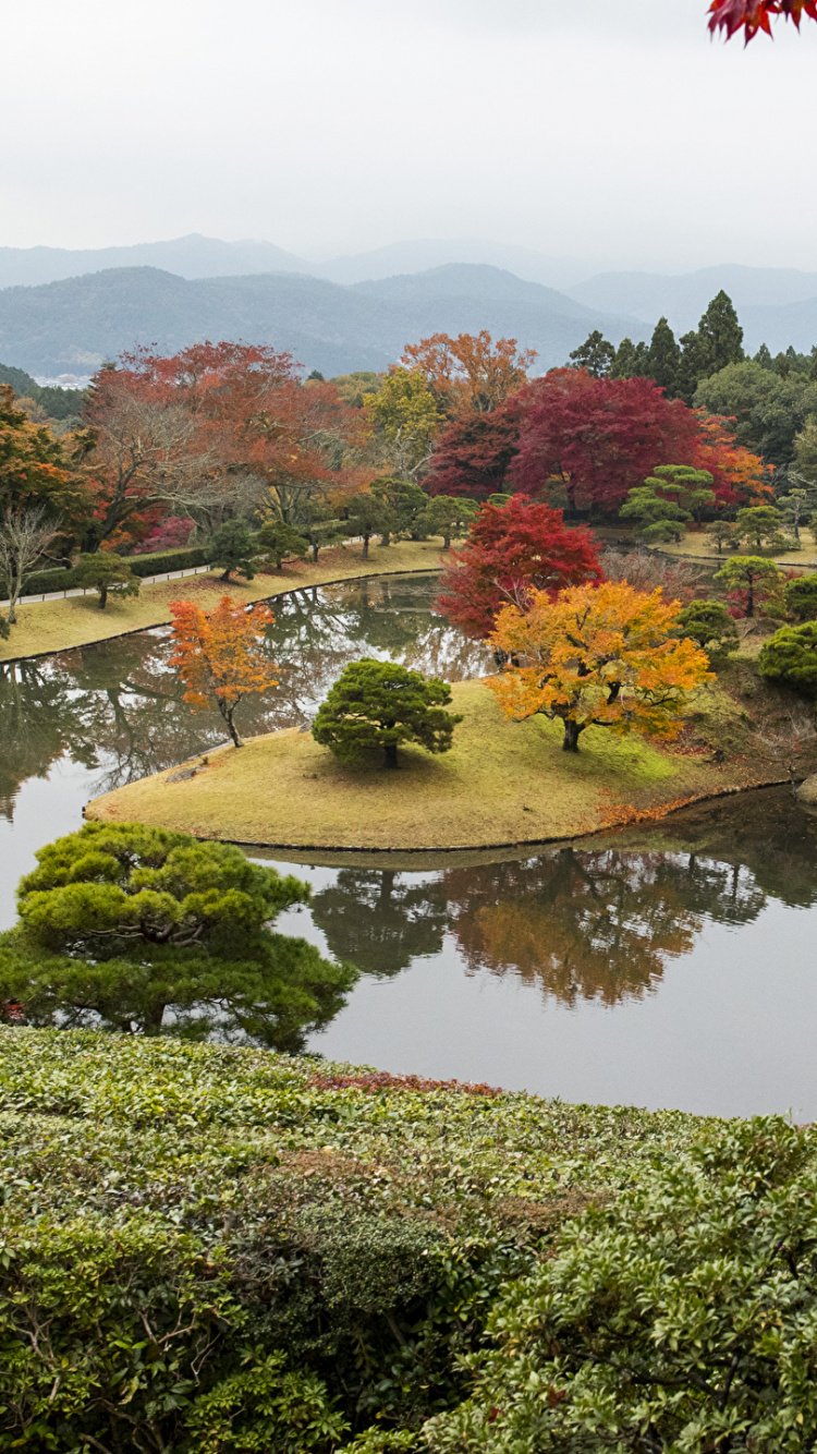 Обои природа, лист, дерево, отражение, сад в разрешении 750x1334