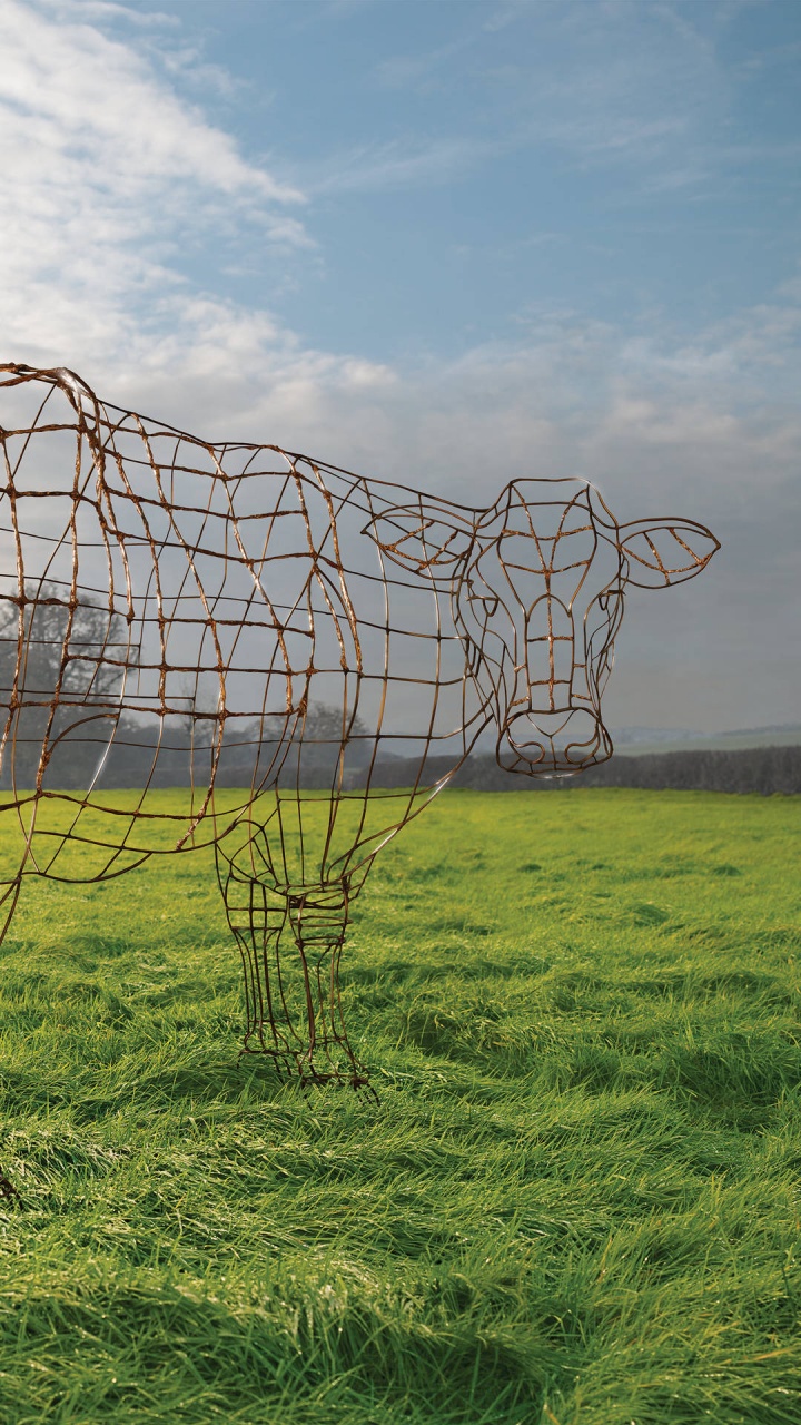 Обои Pink Floyd, Атом Сердце Мать, арт, сенокосное угодье, дерево в разрешении 720x1280