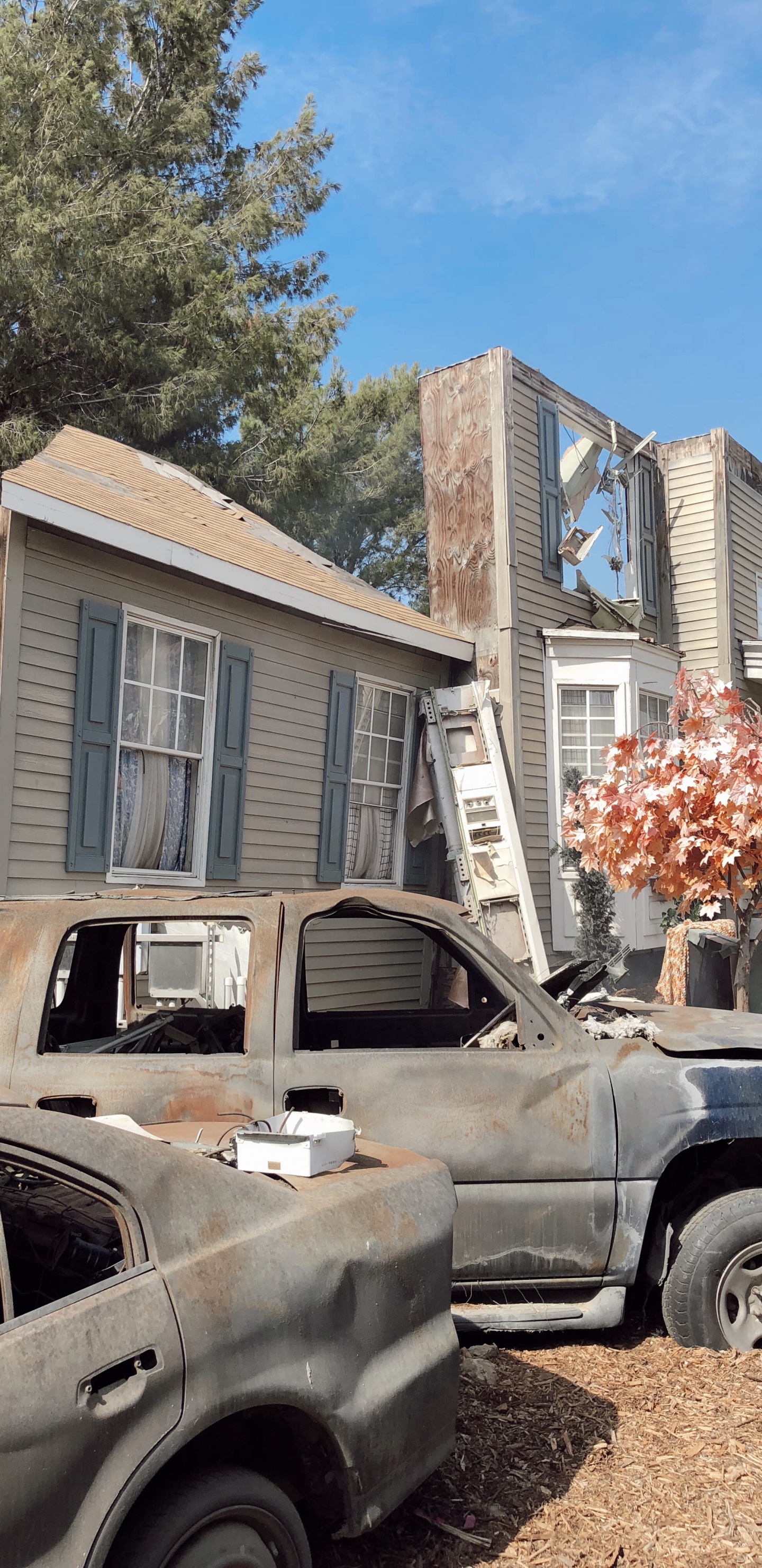 Обои семейный автомобиль, Король, компактный автомобиль, малолитражный автомобиль, автомобиль среднего размера в разрешении 1440x2960