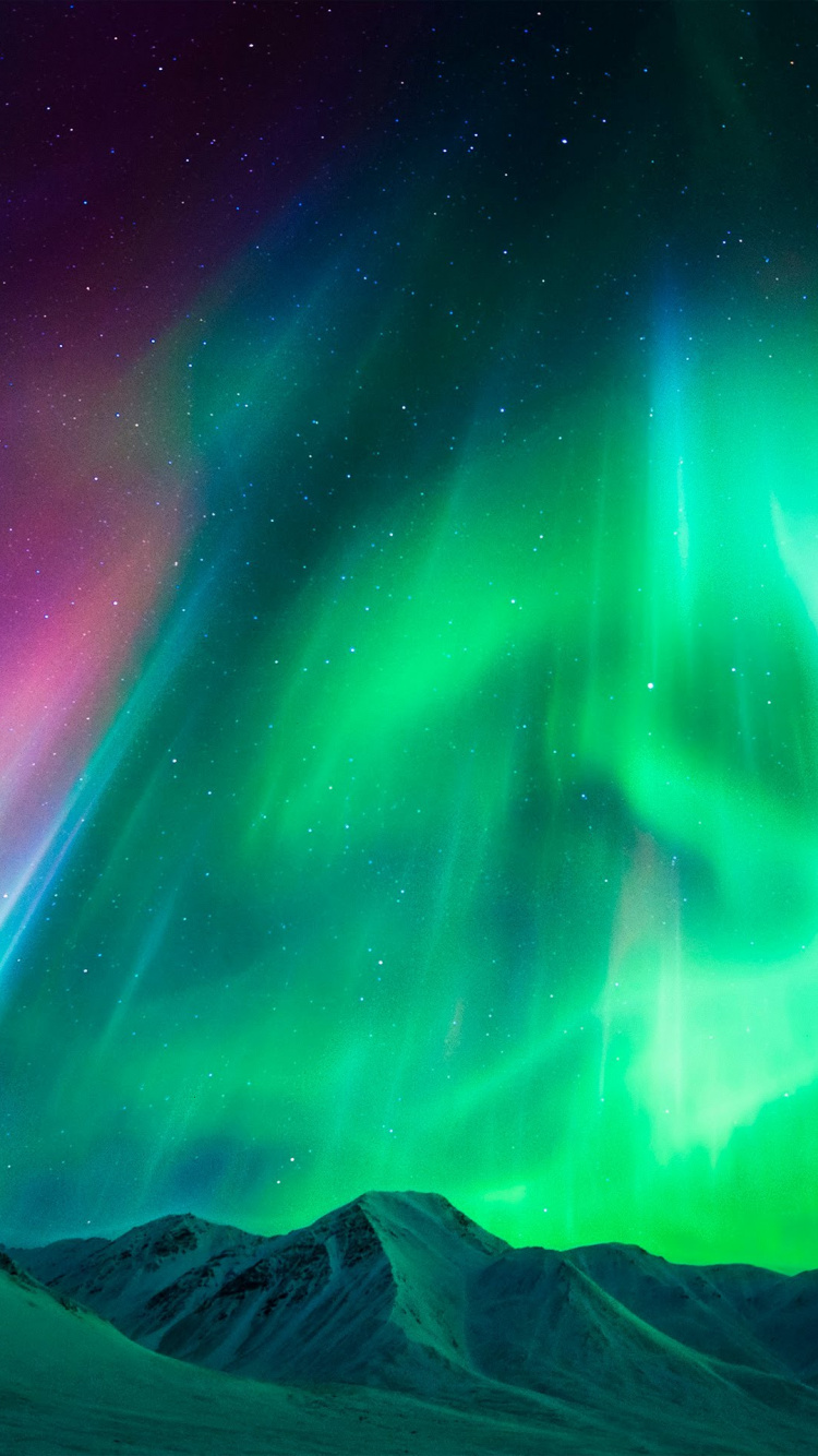 Обои ZTE, ZTE Axon M, Аврора, зеленый, природный ландшафт в разрешении 750x1334